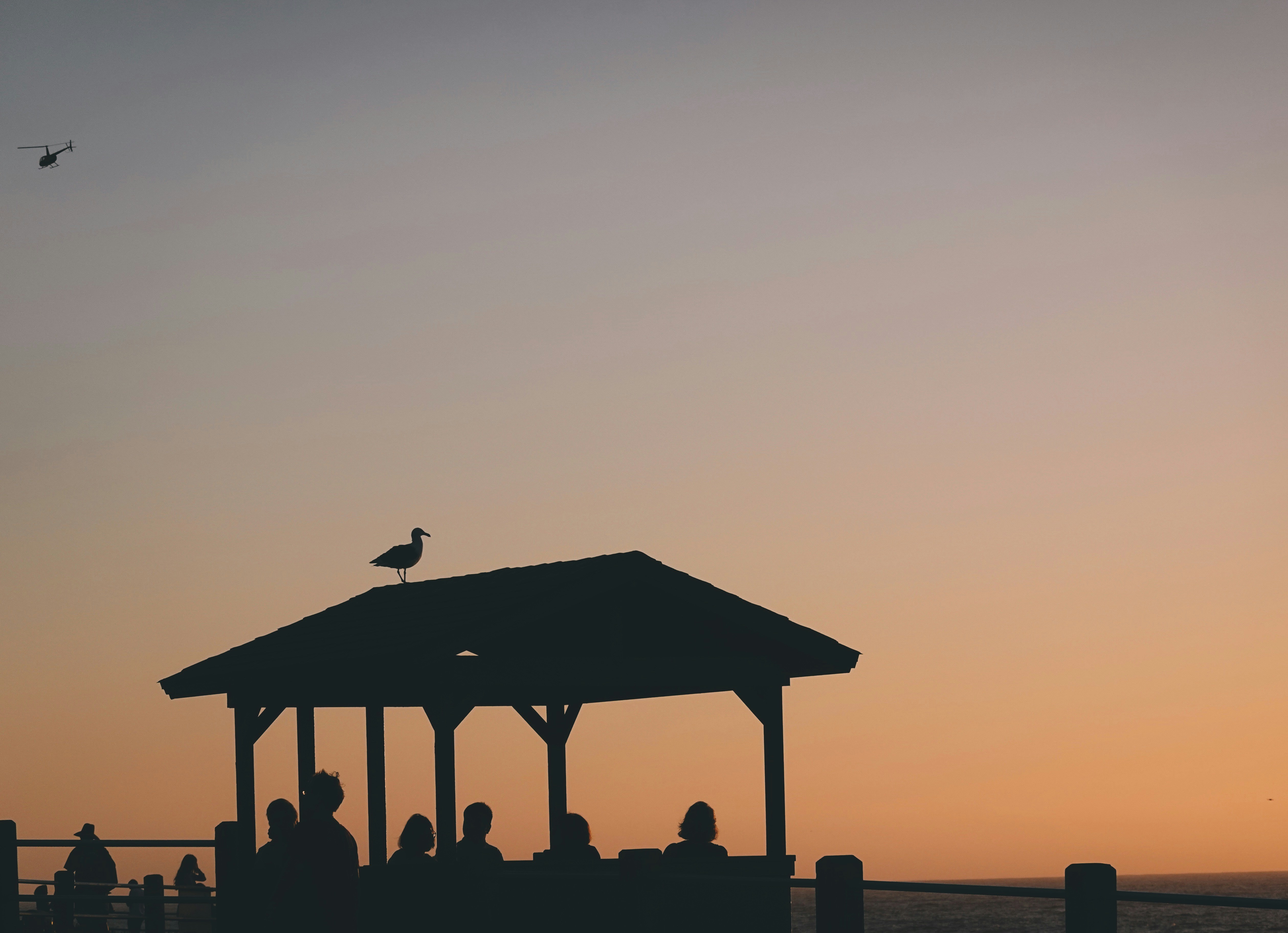 Photo by marsha_reid