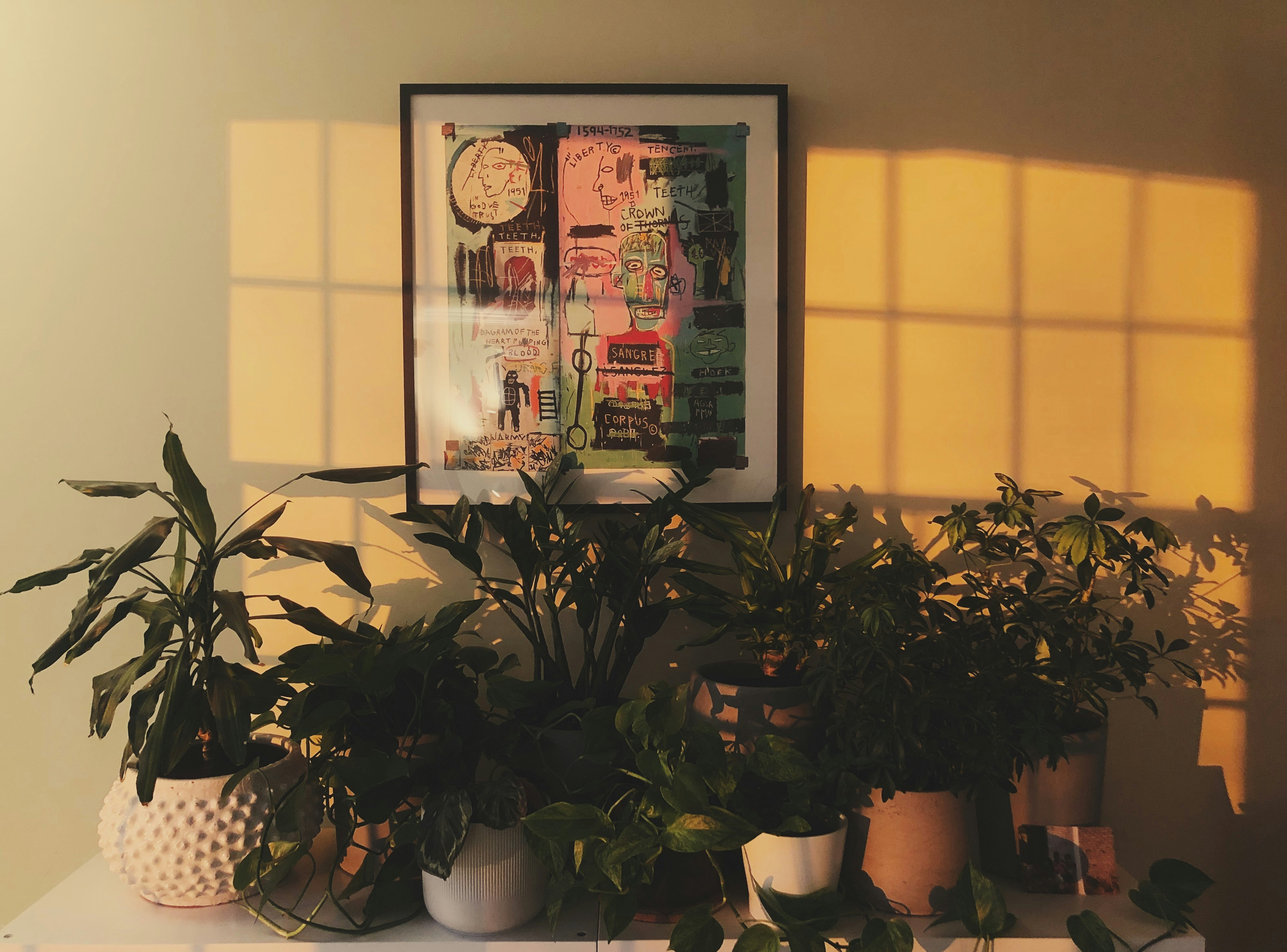 Photo by marsha_reid