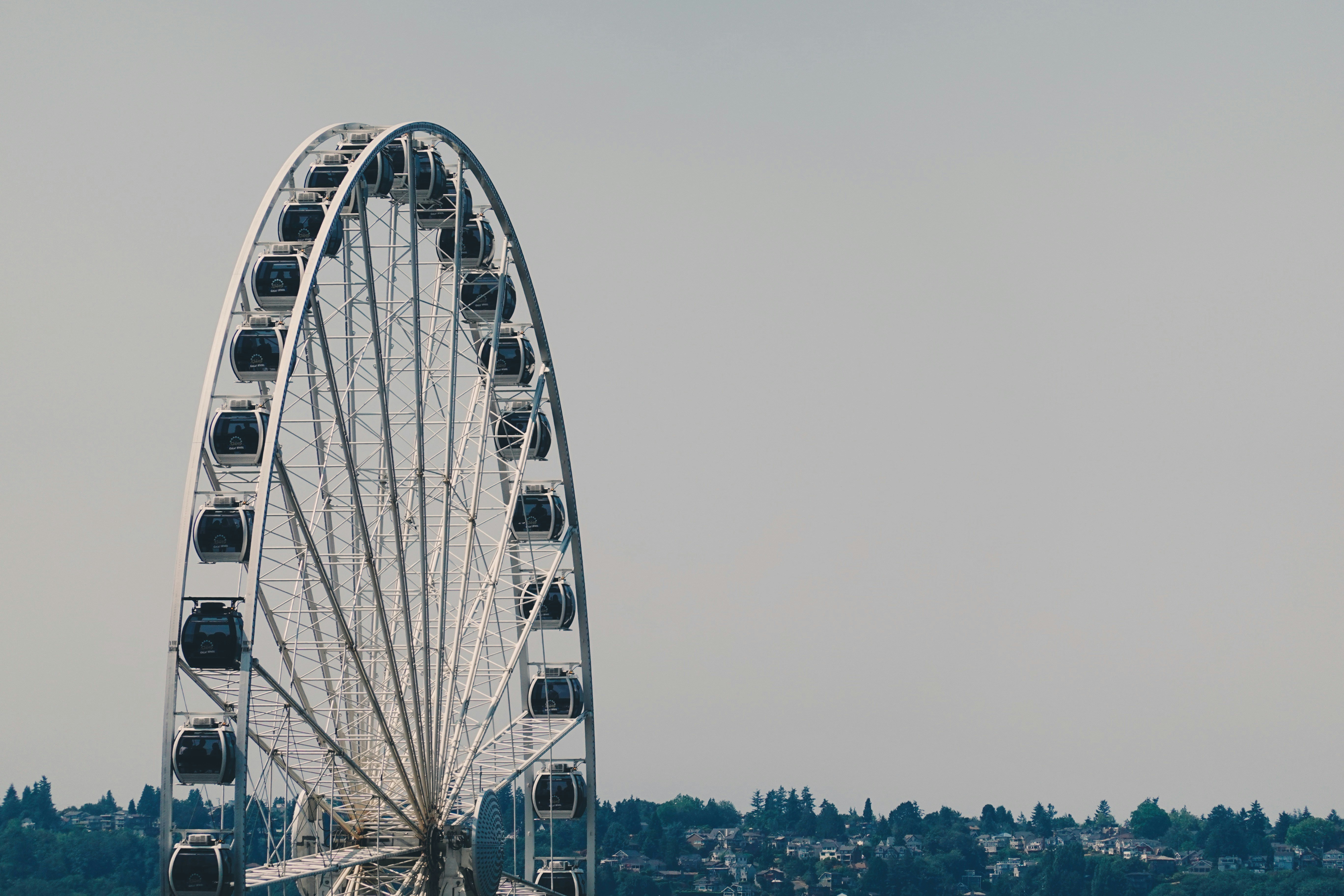 Photo by marsha_reid