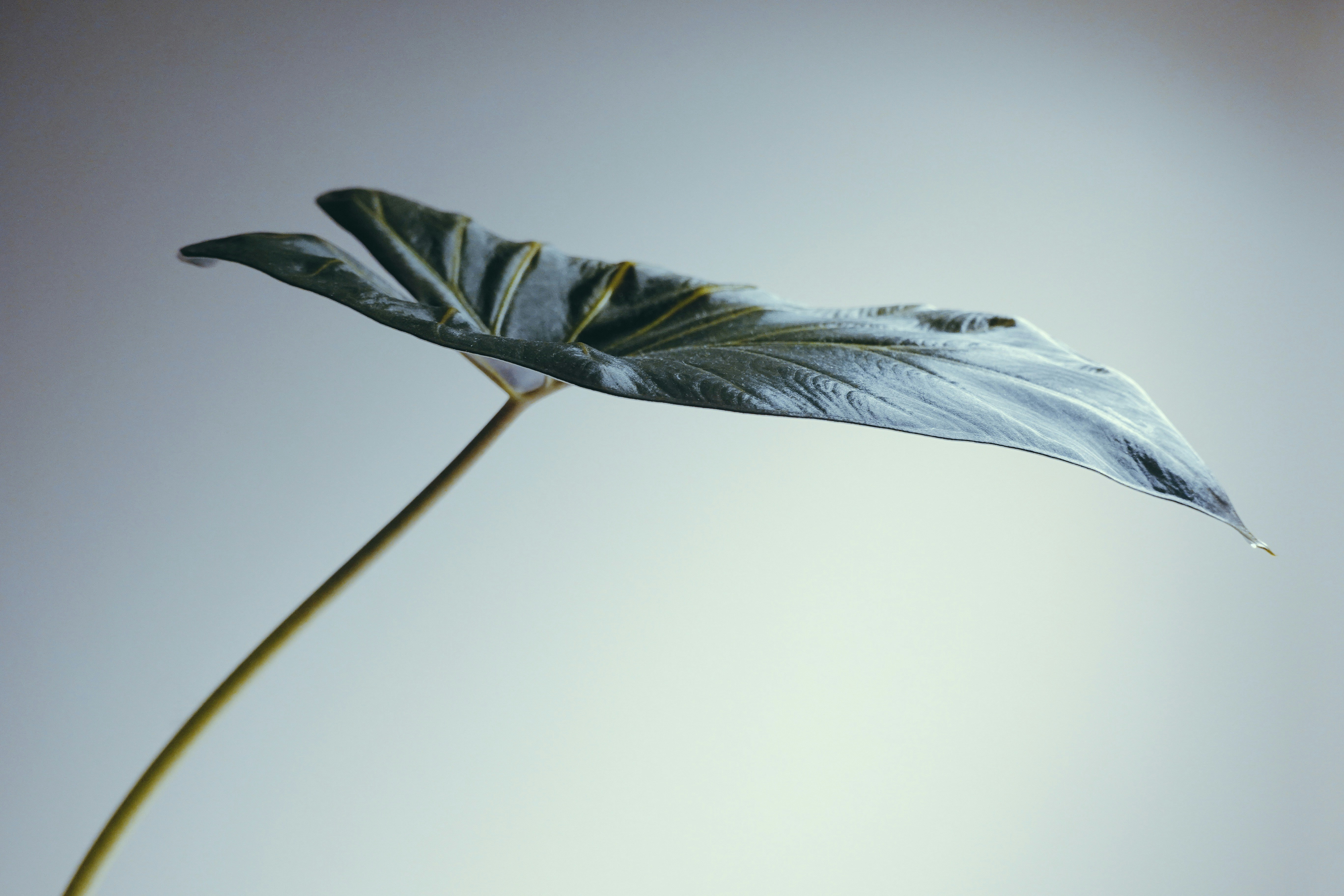 Photo by marsha_reid