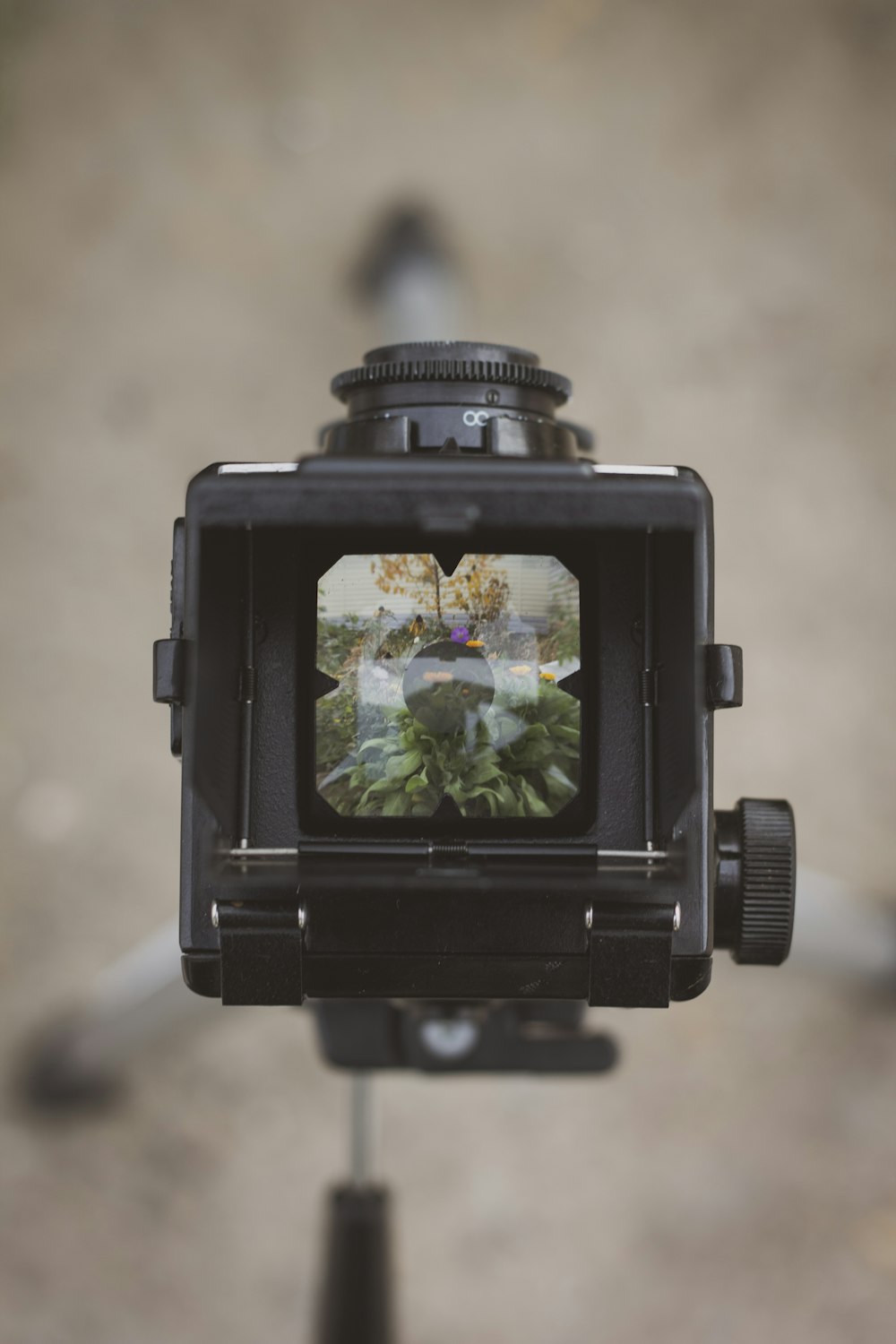 a close up of a camera with a picture on it