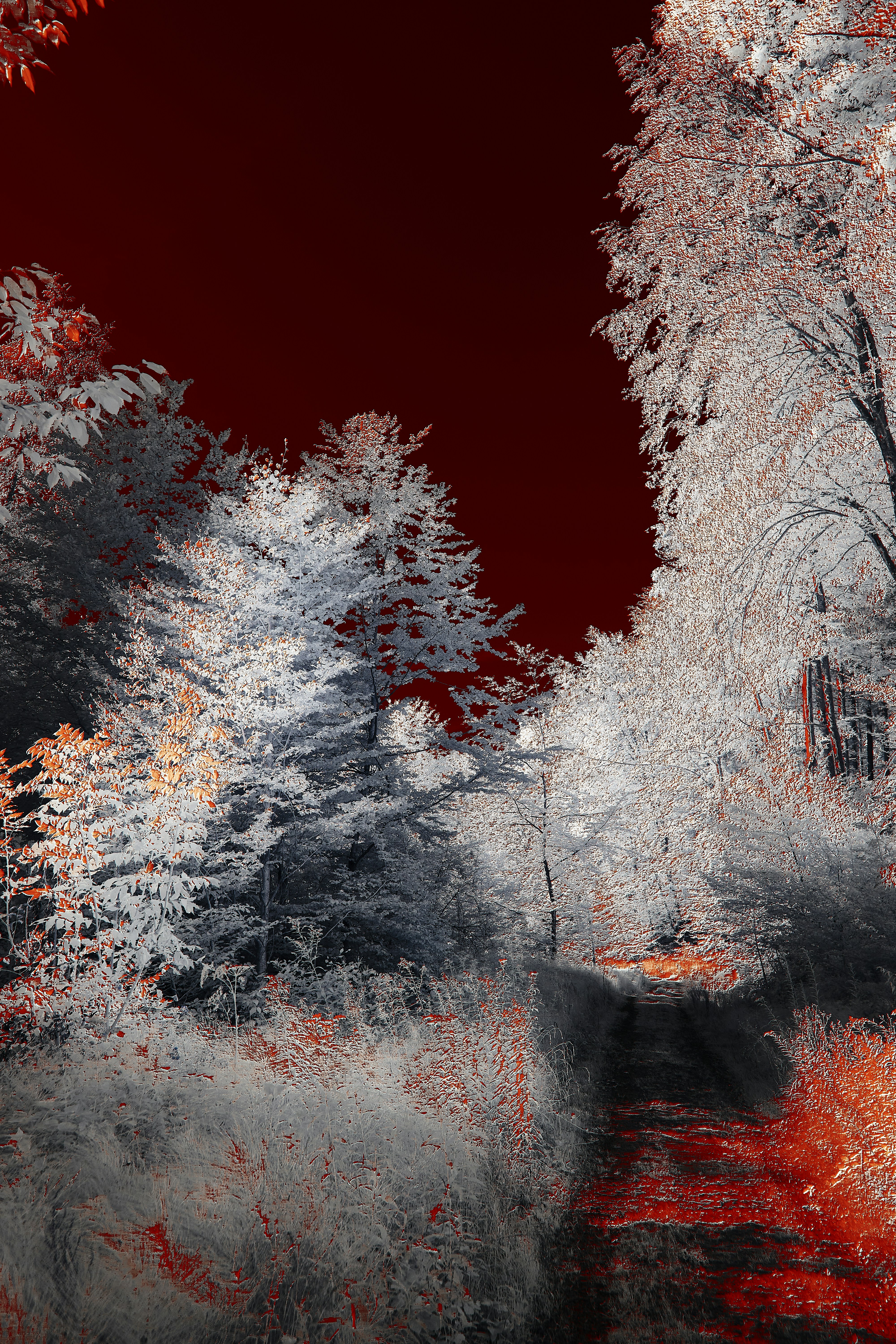 Photo by wolfgang_hasselmann