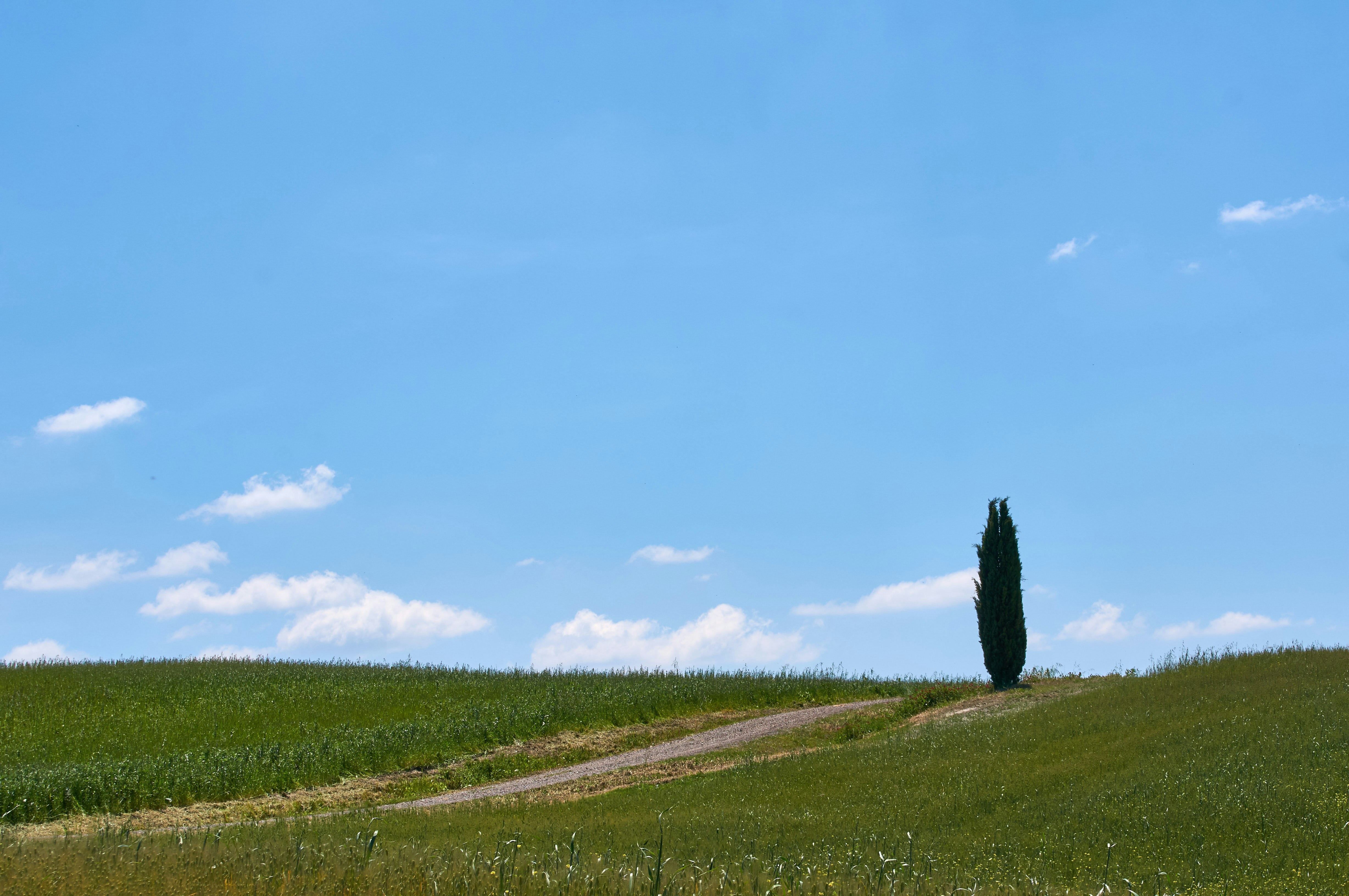 Photo by wolfgang_hasselmann