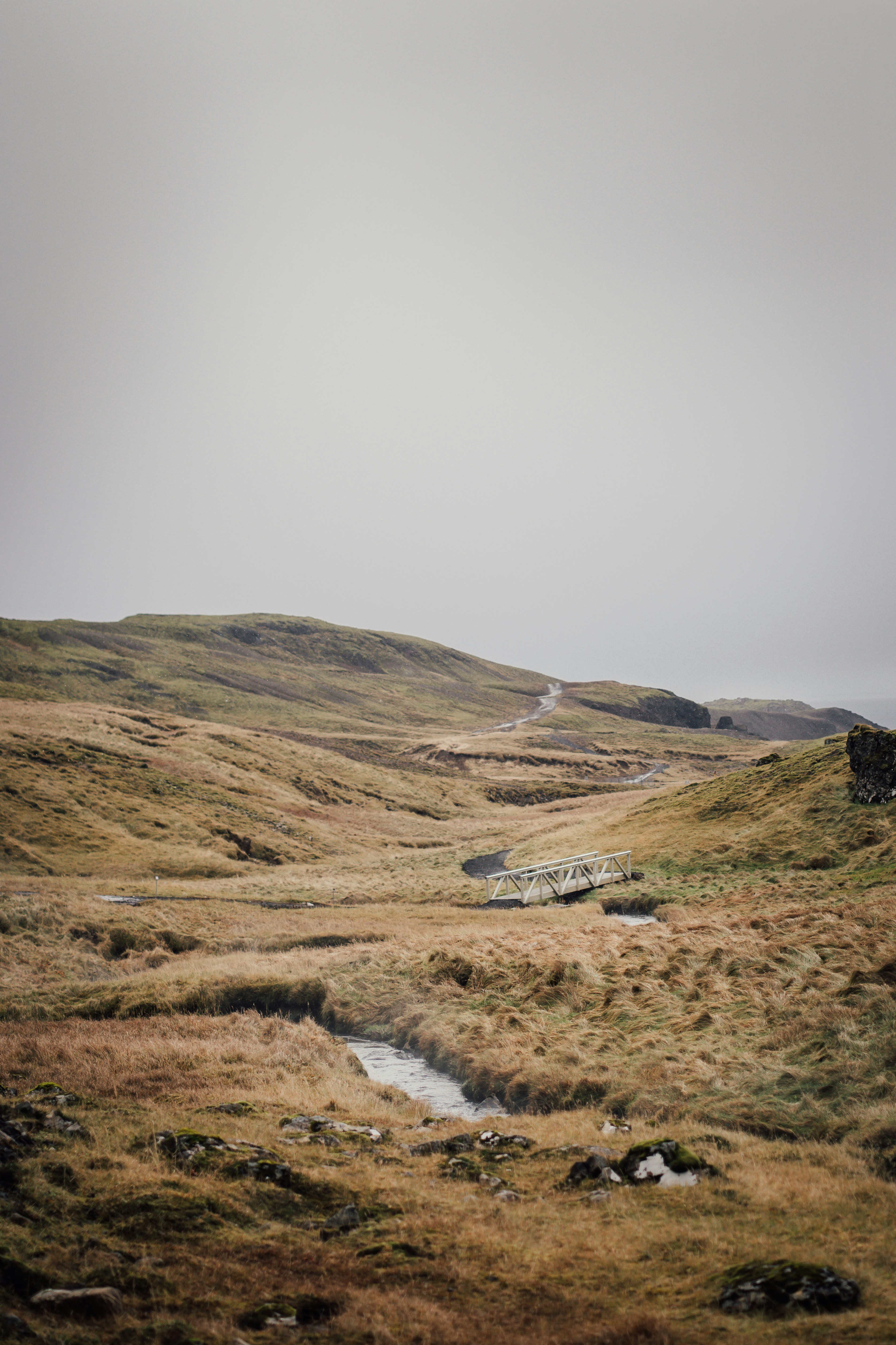 Photo by real_jansen