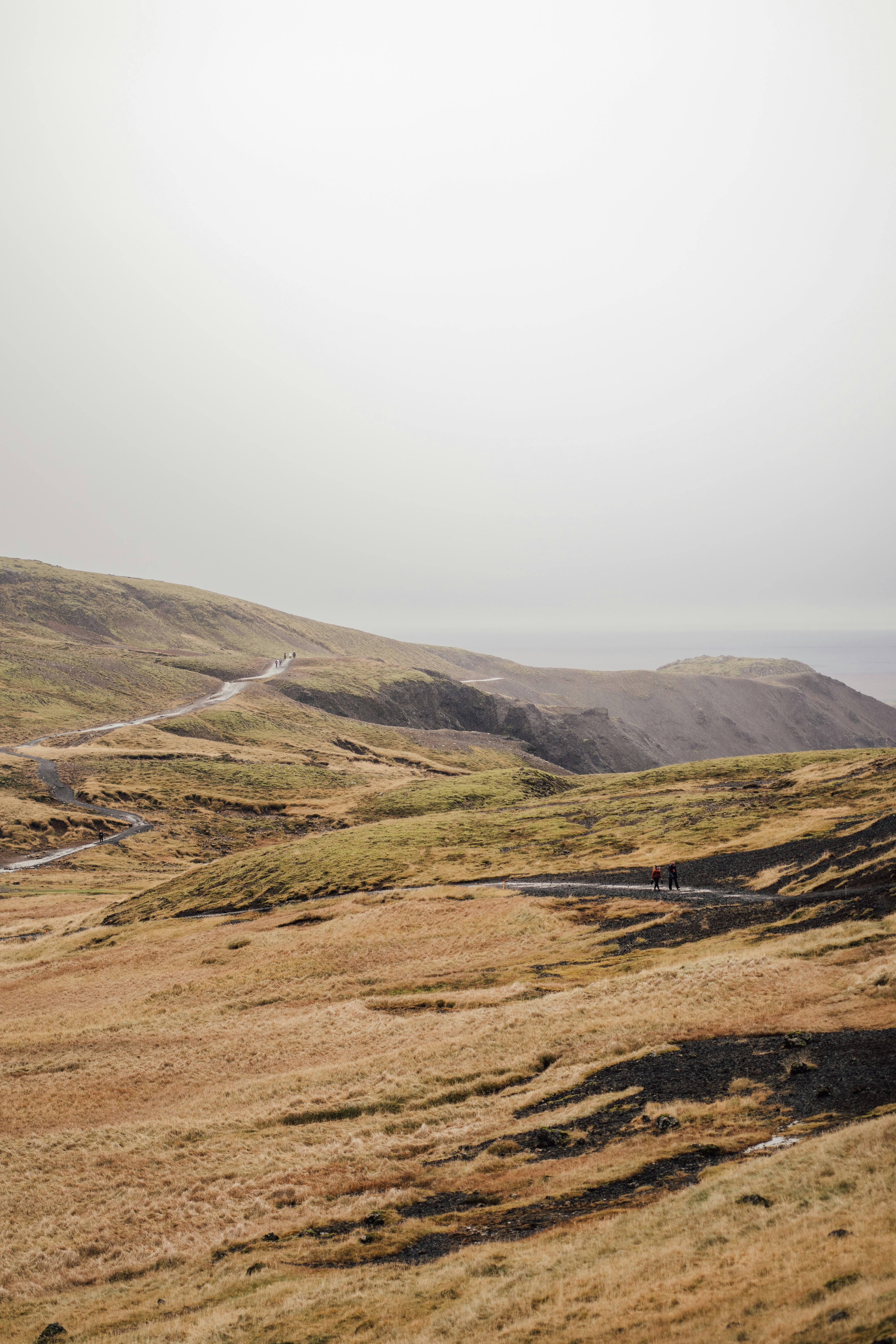 Photo by real_jansen