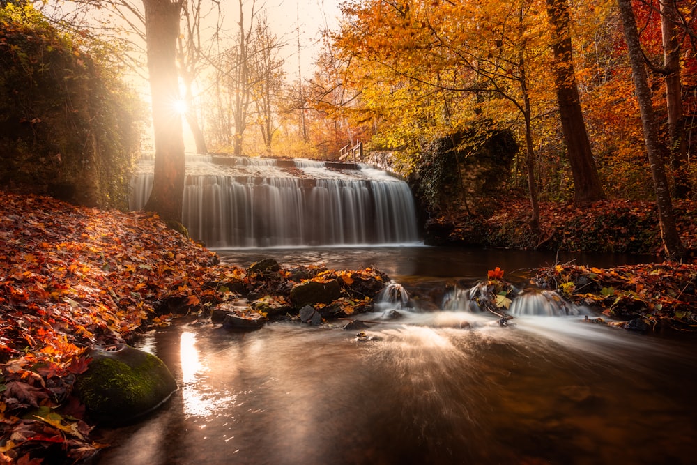 a small waterfall in the middle of a forest