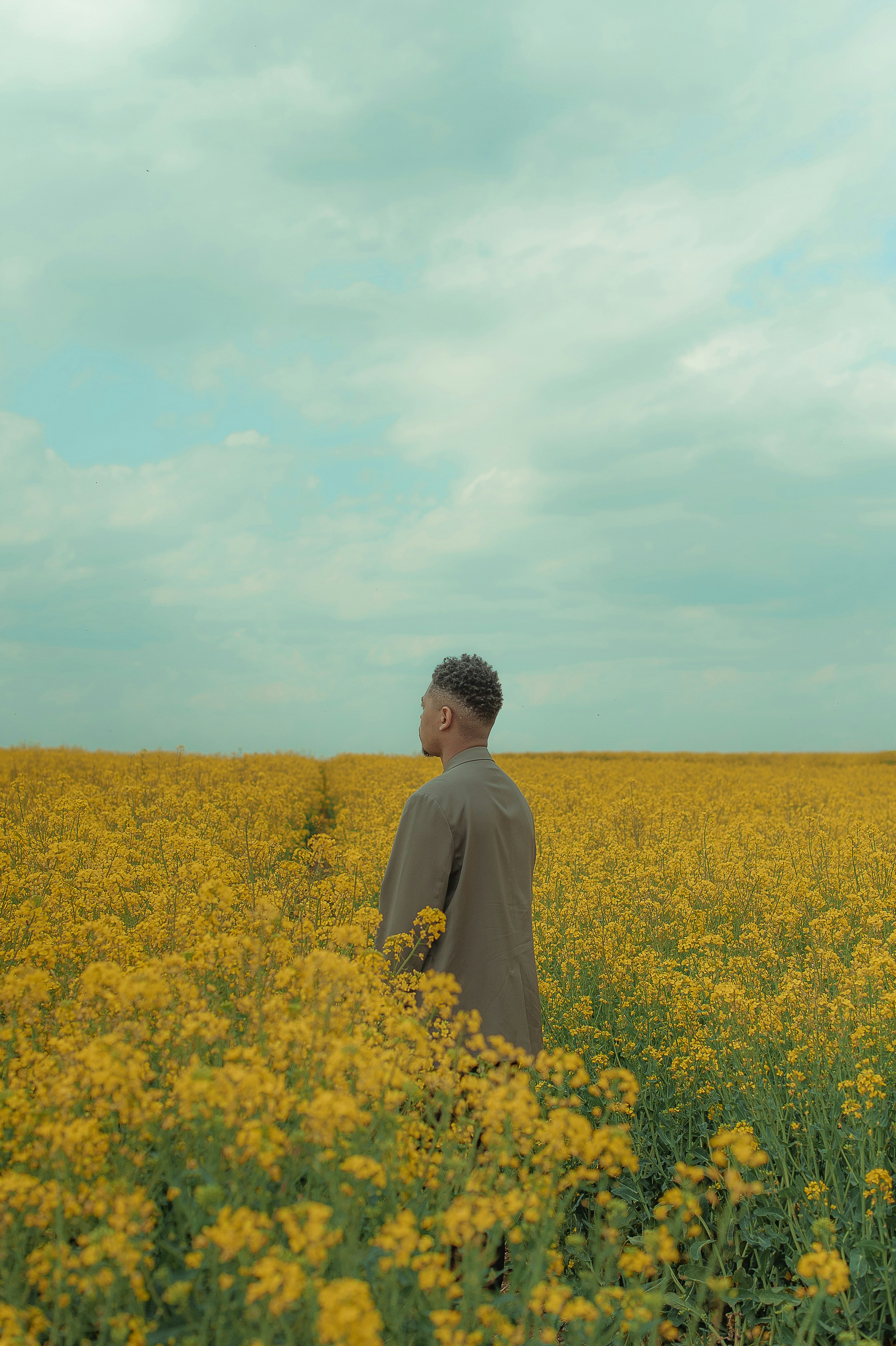 a man standing in a field of yellow flowers