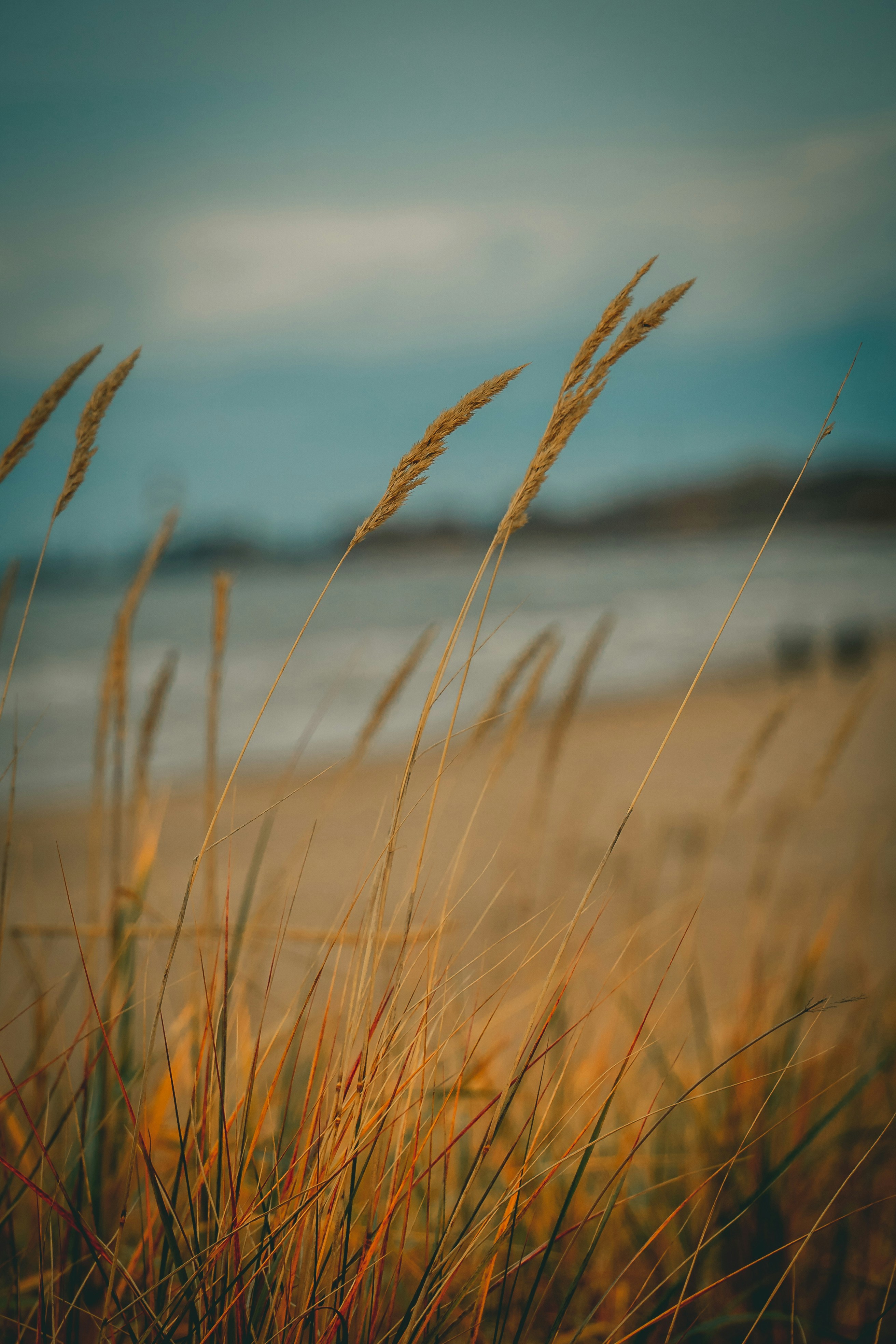 Photo by raimondklavins