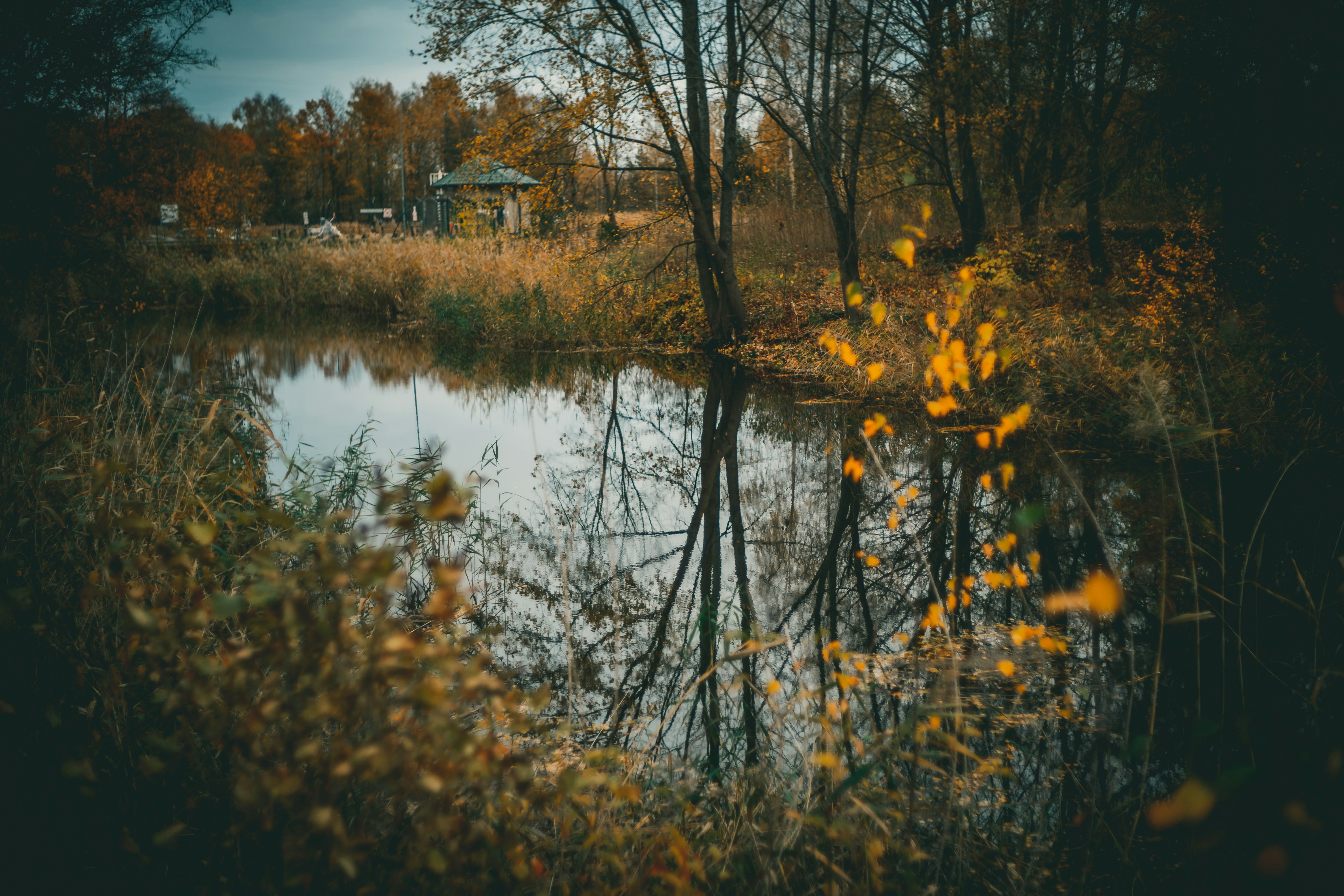 Photo by raimondklavins