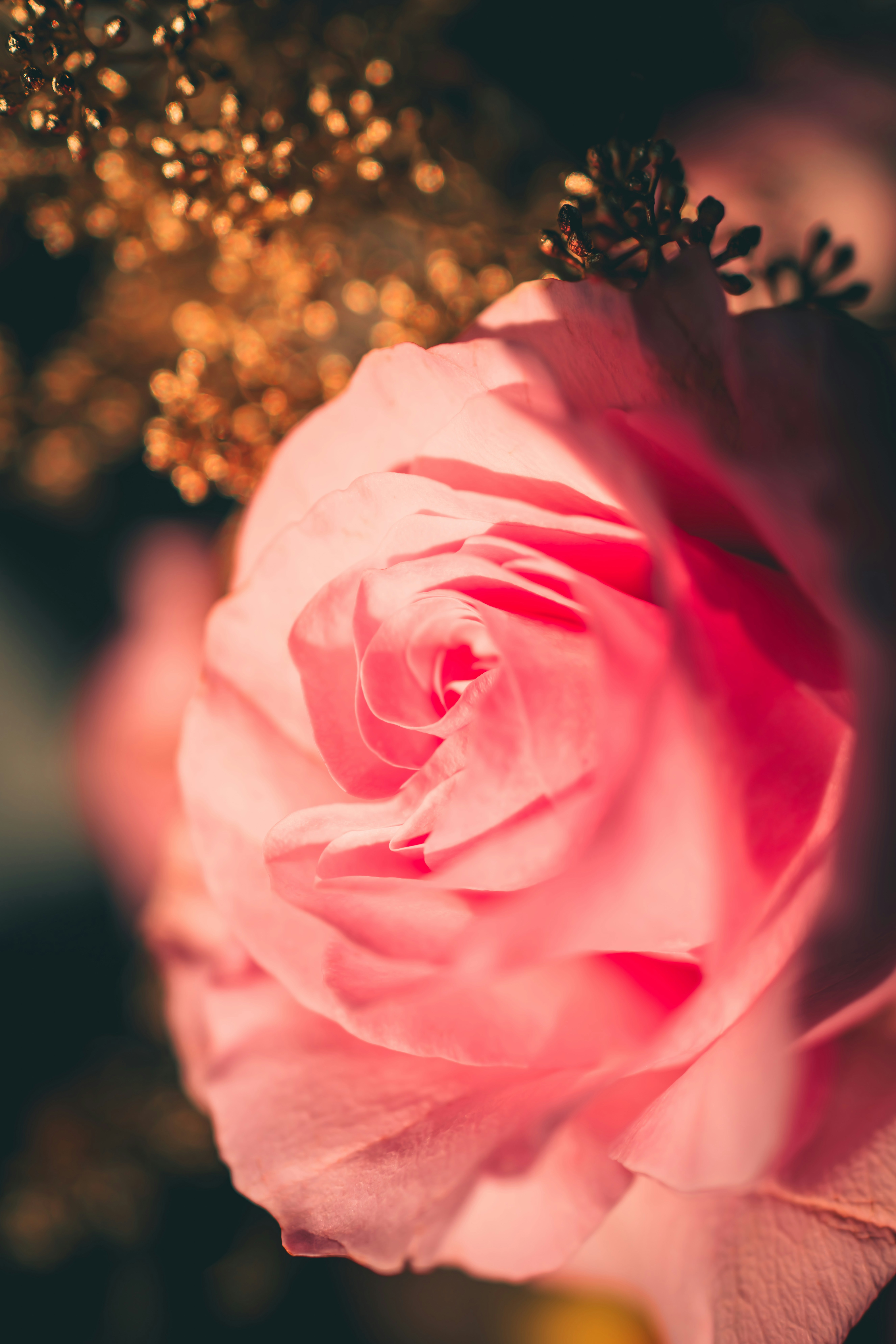 Photo by raimondklavins