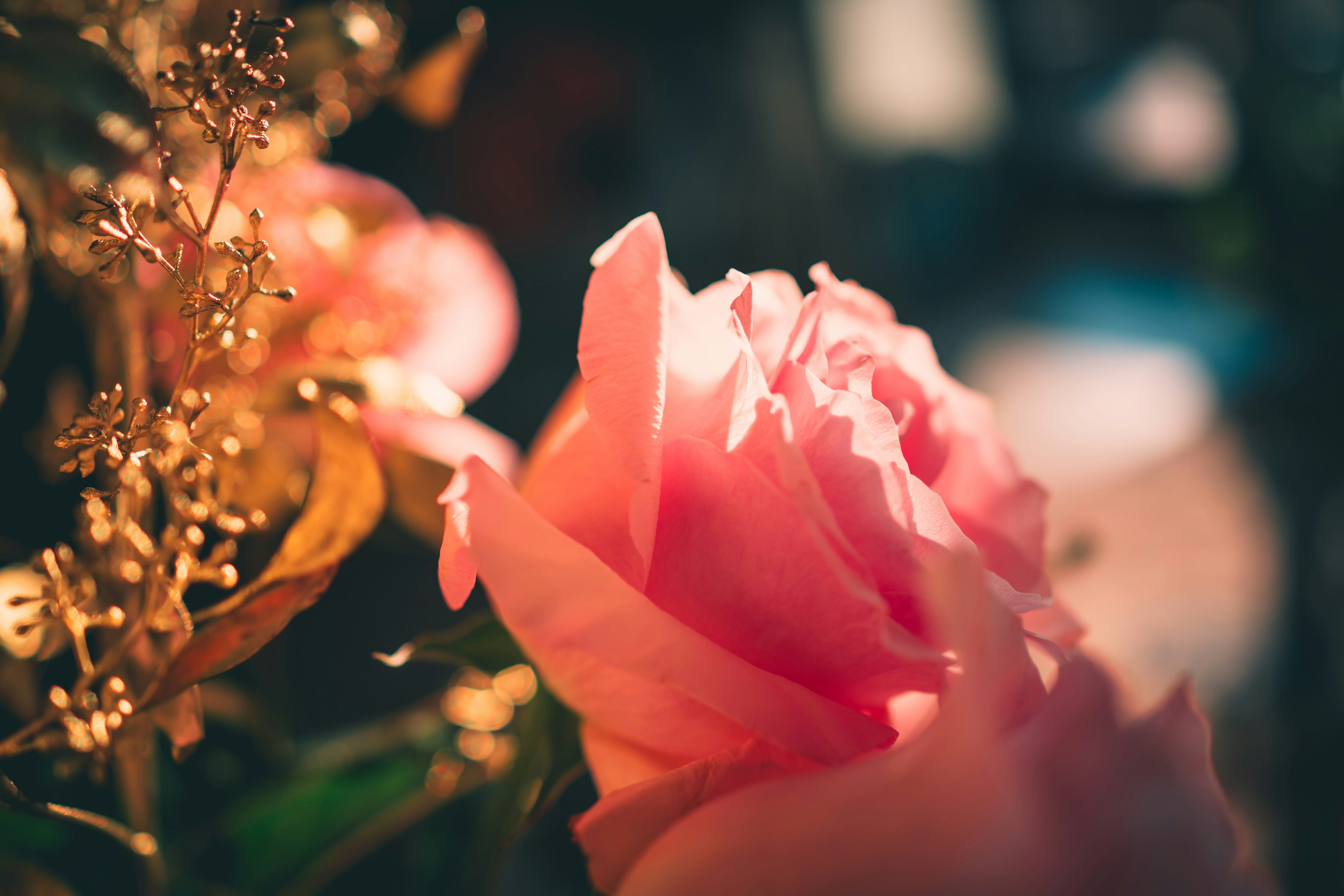 Photo by raimondklavins