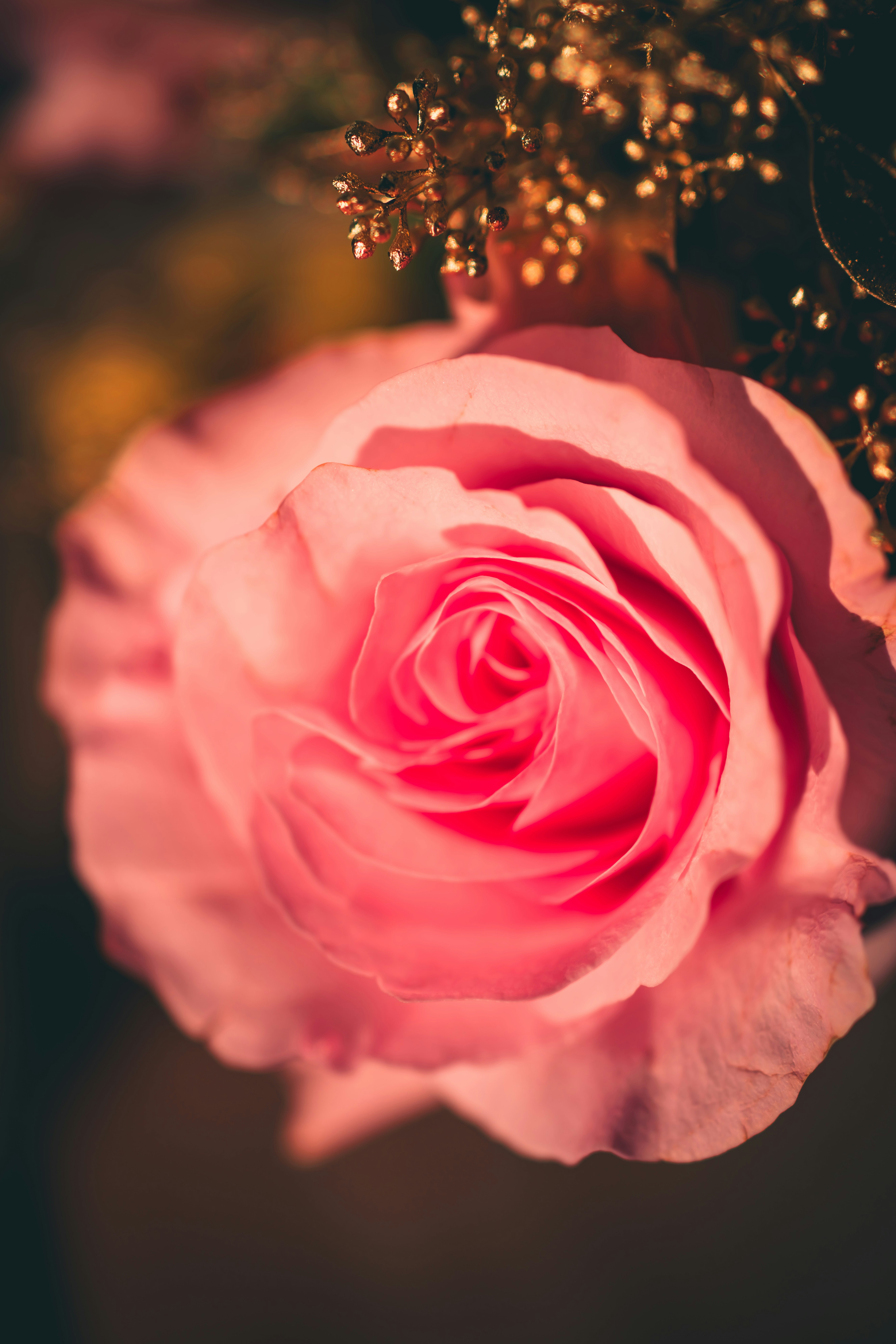 Photo by raimondklavins