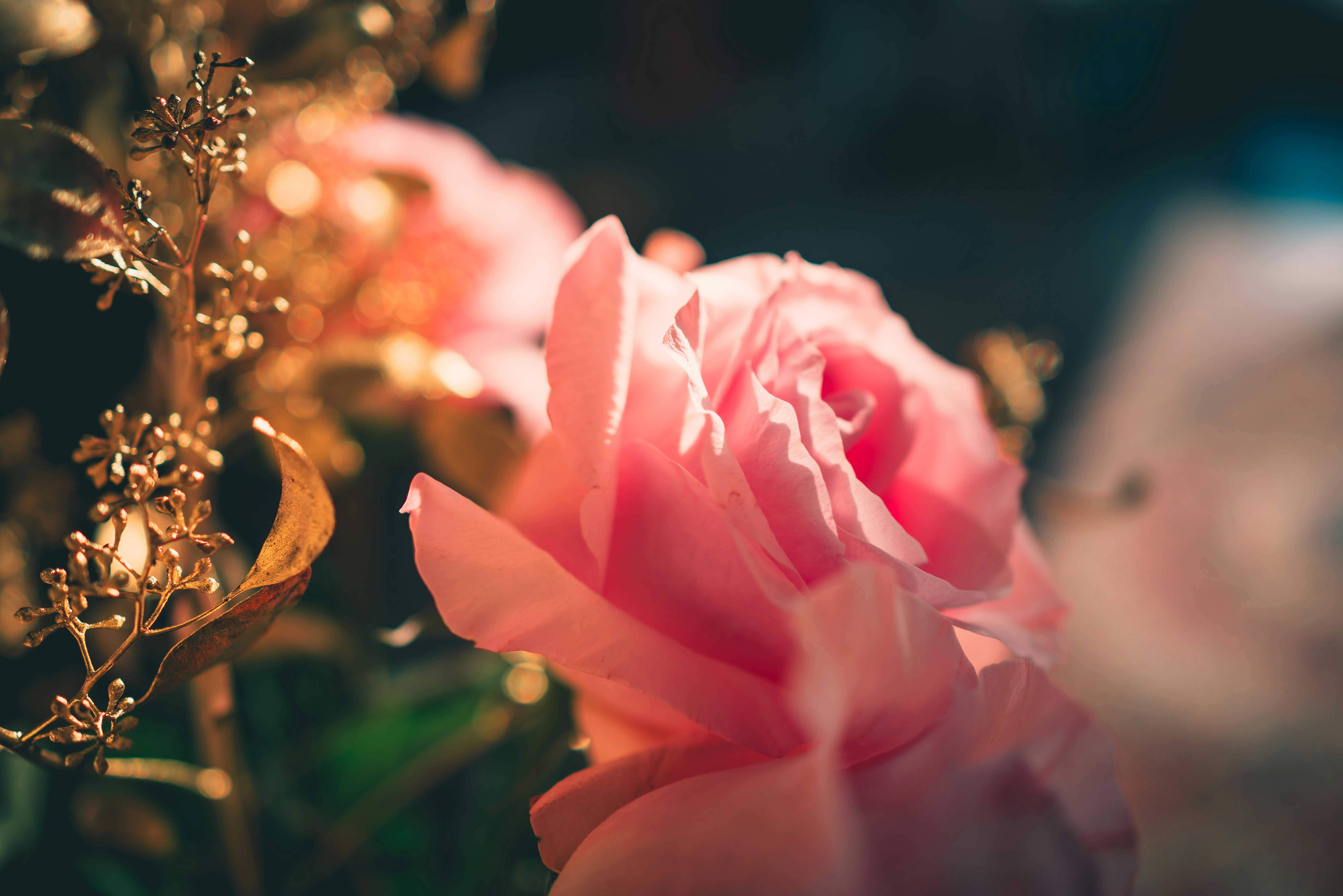 Photo by raimondklavins