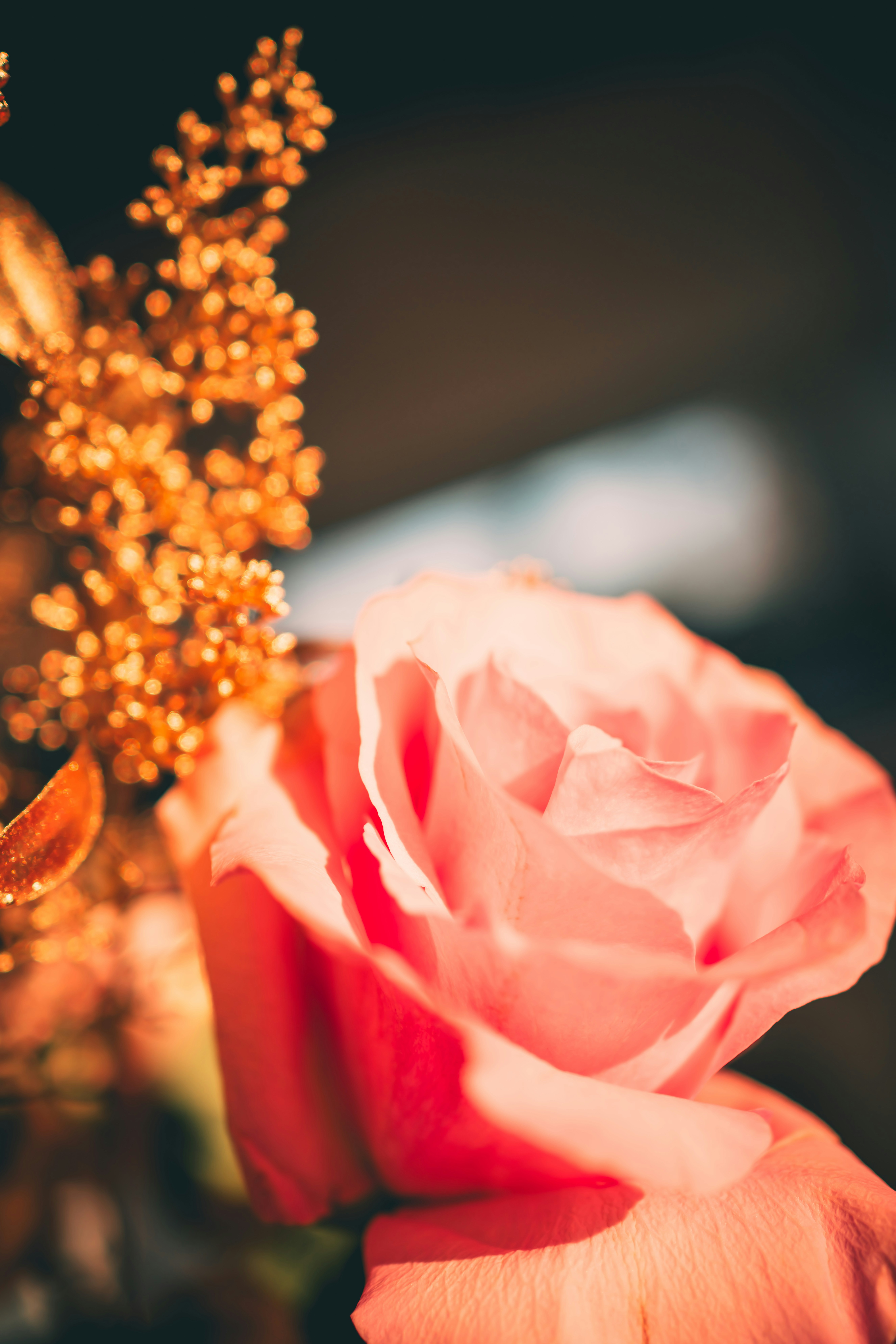 Photo by raimondklavins