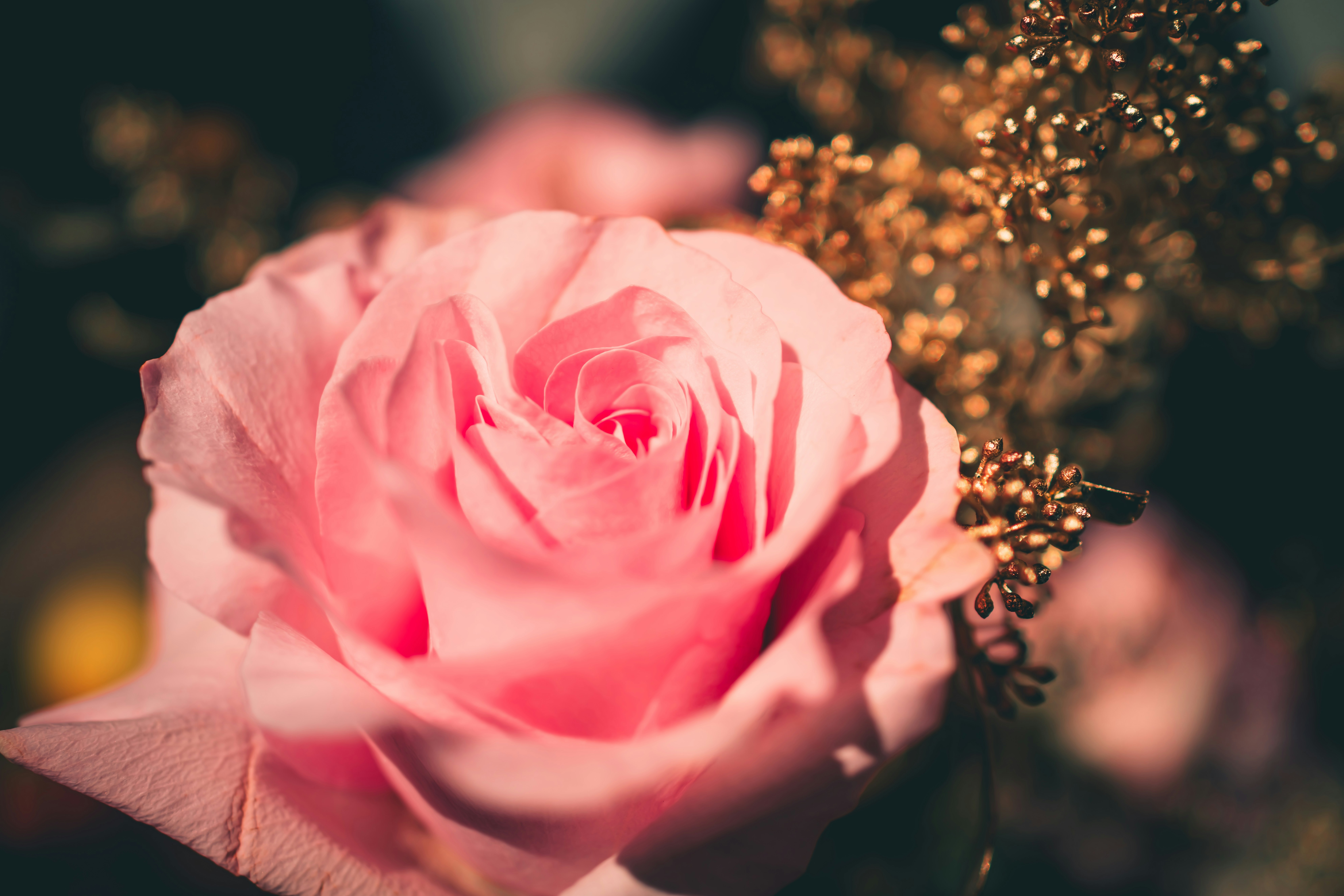 Photo by raimondklavins