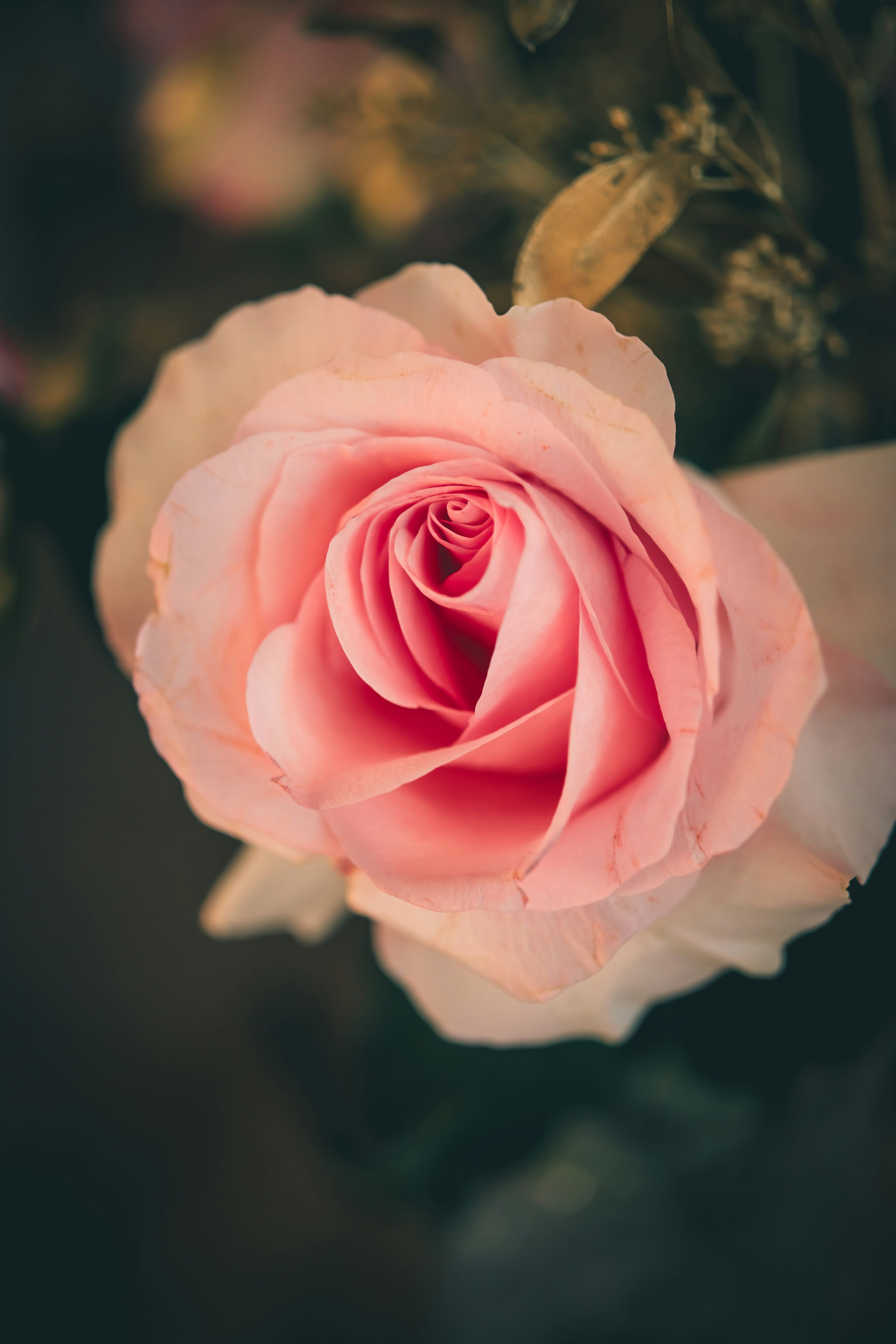 Photo by raimondklavins