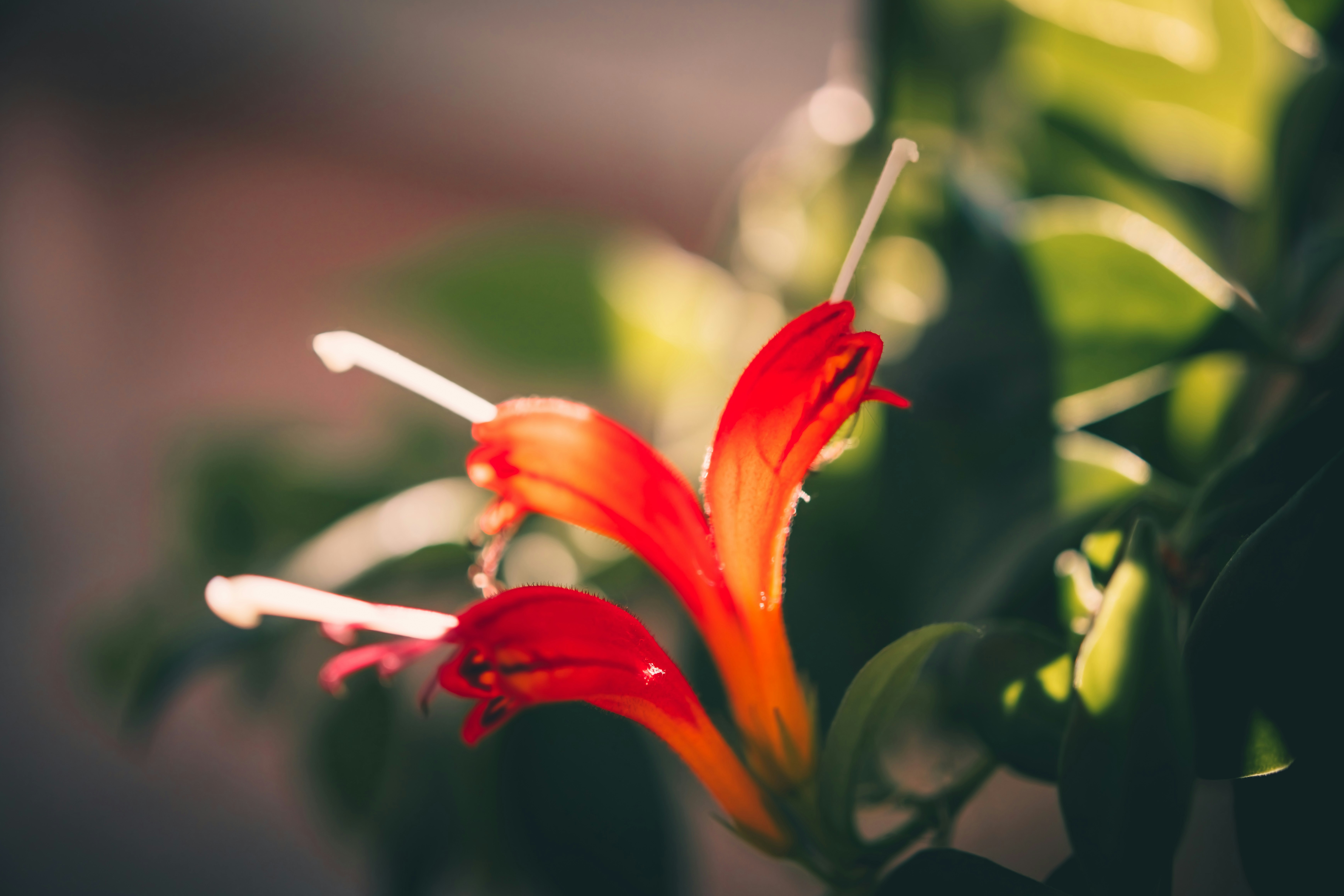 Photo by raimondklavins