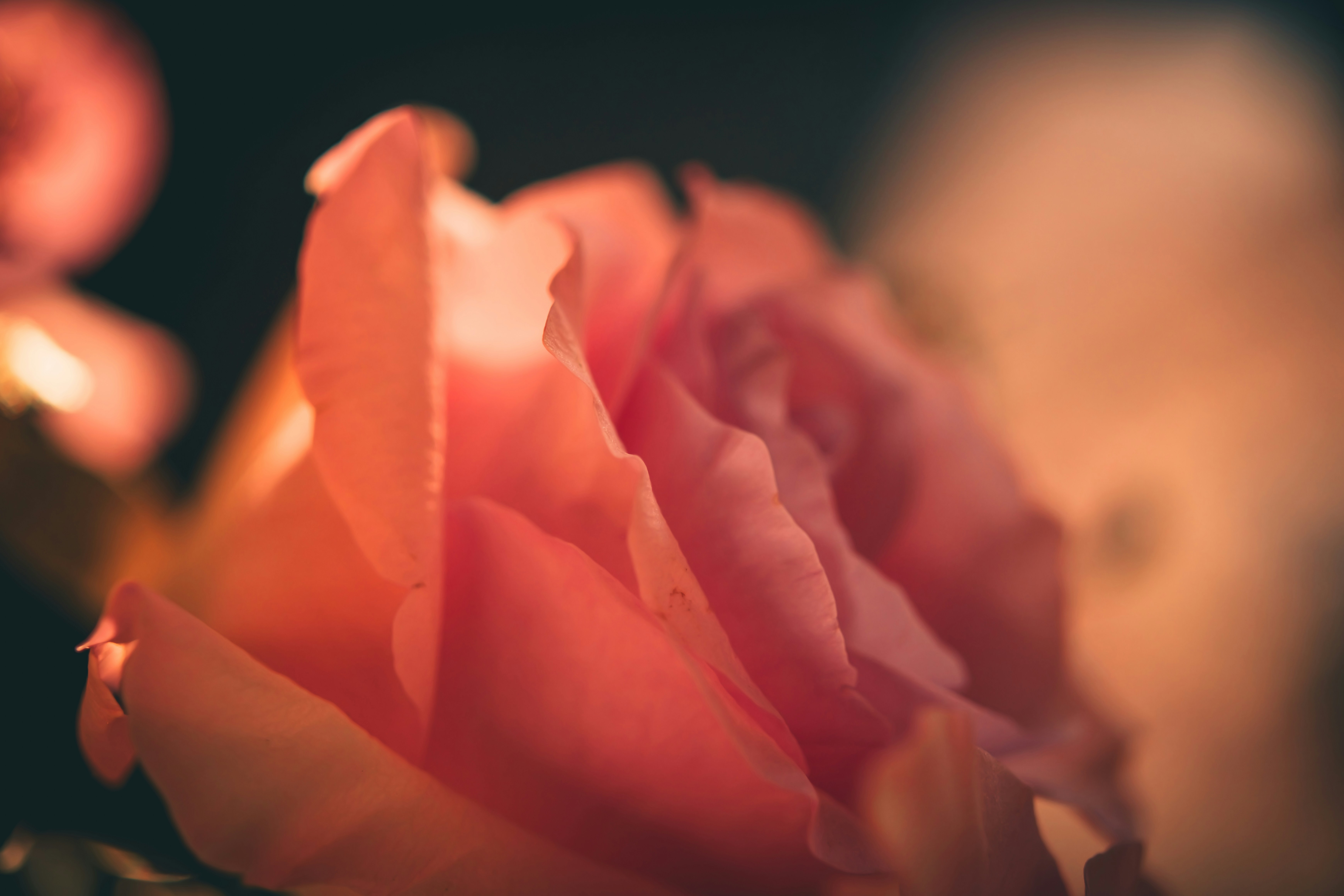 Photo by raimondklavins