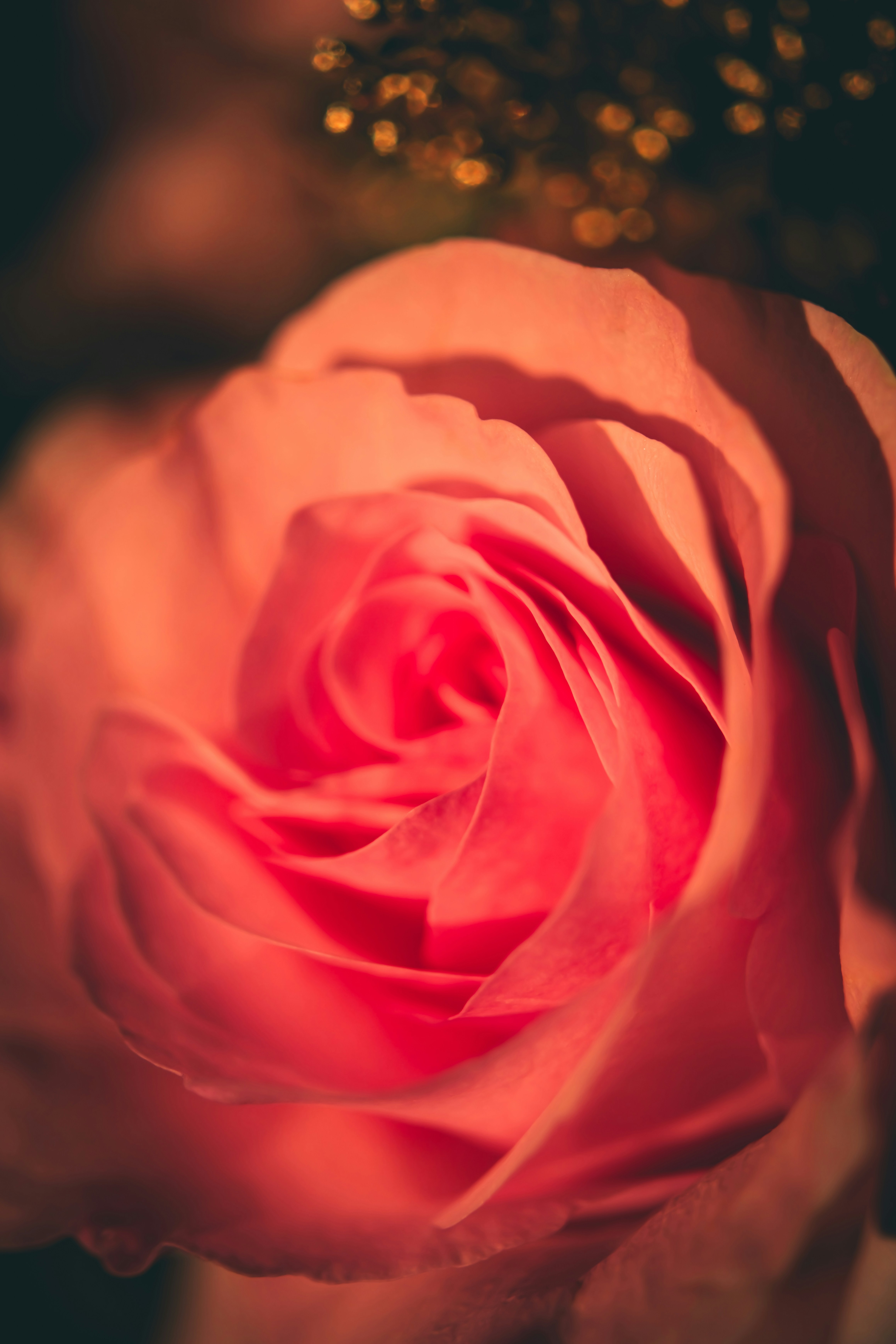 Photo by raimondklavins