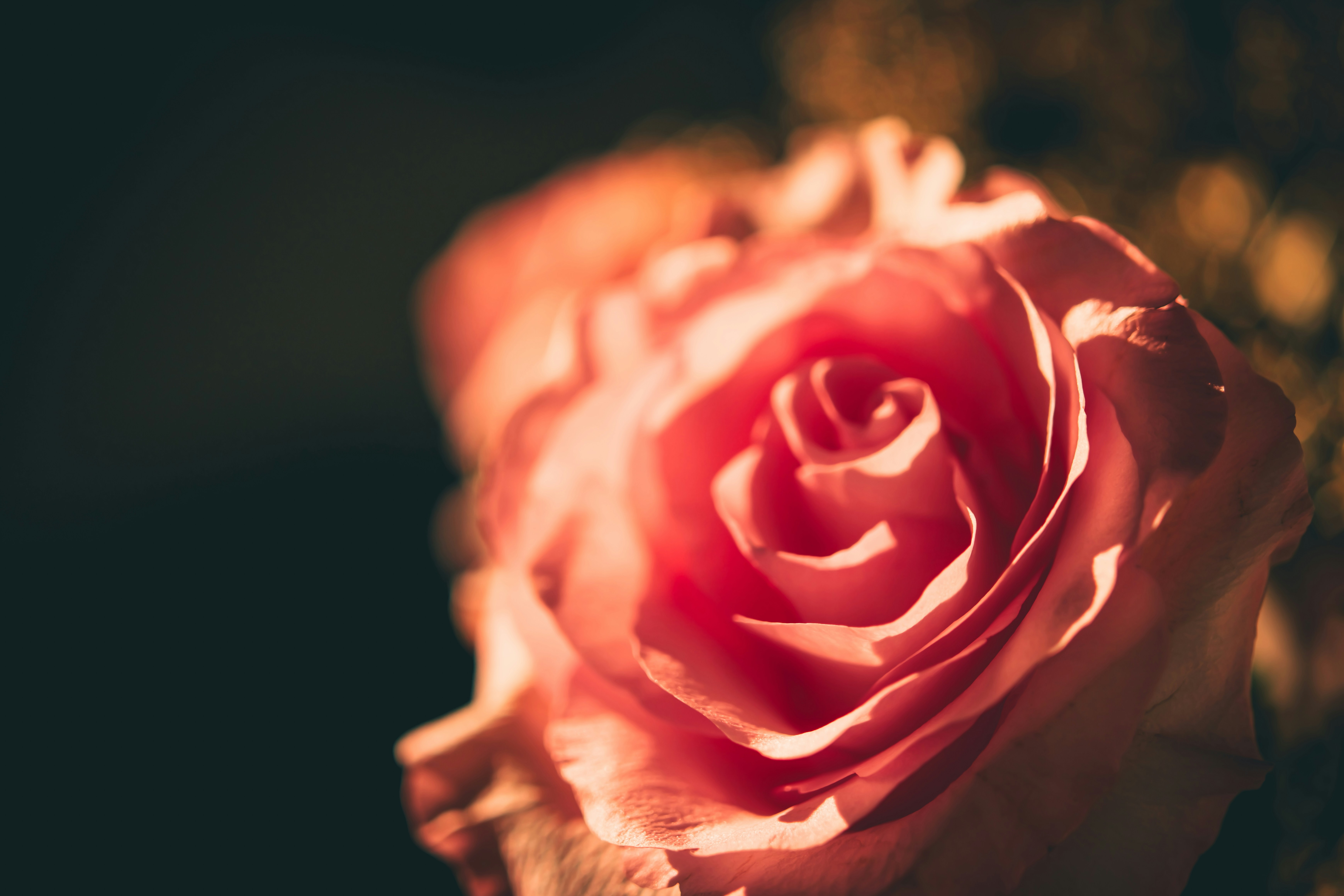 Photo by raimondklavins