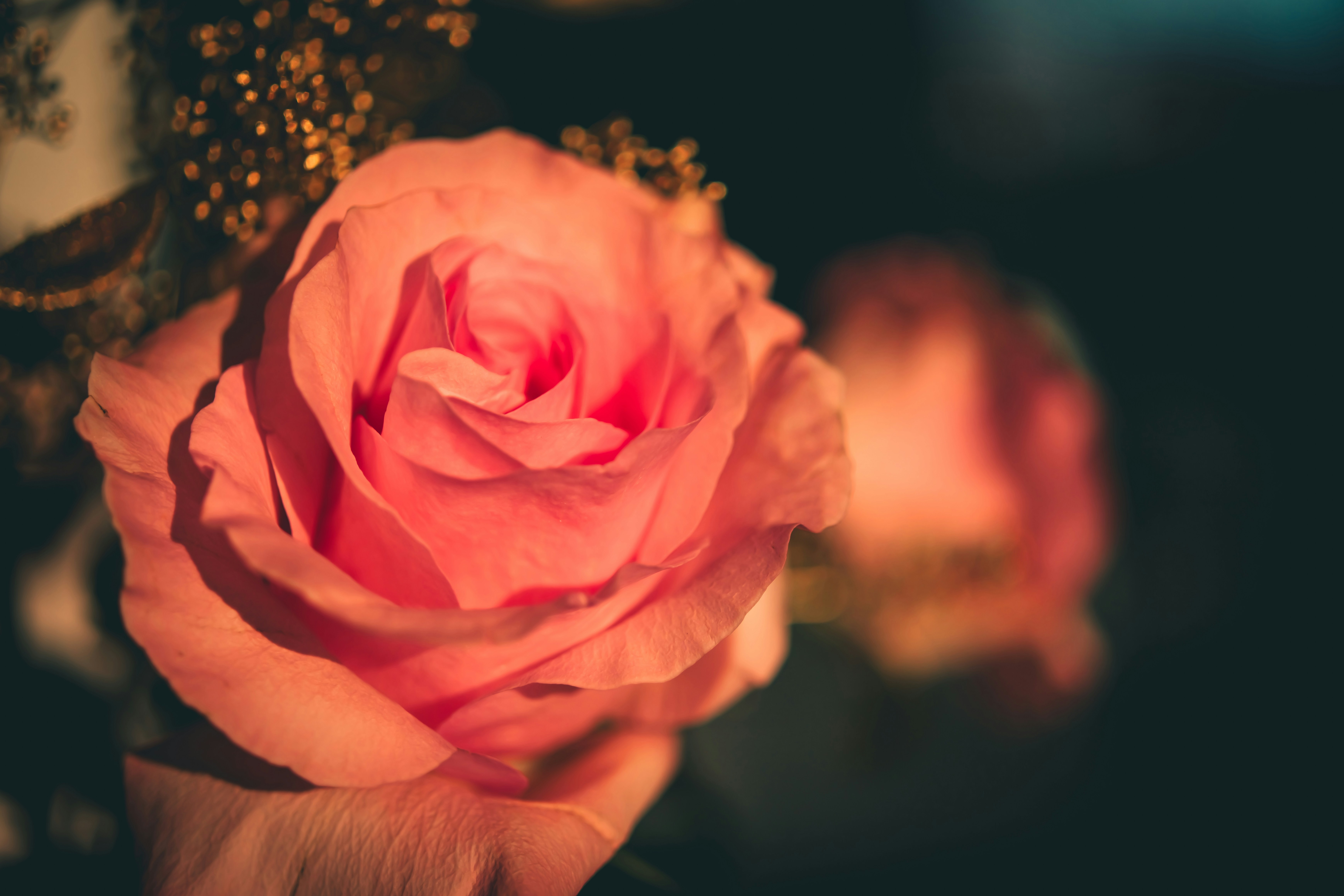 Photo by raimondklavins