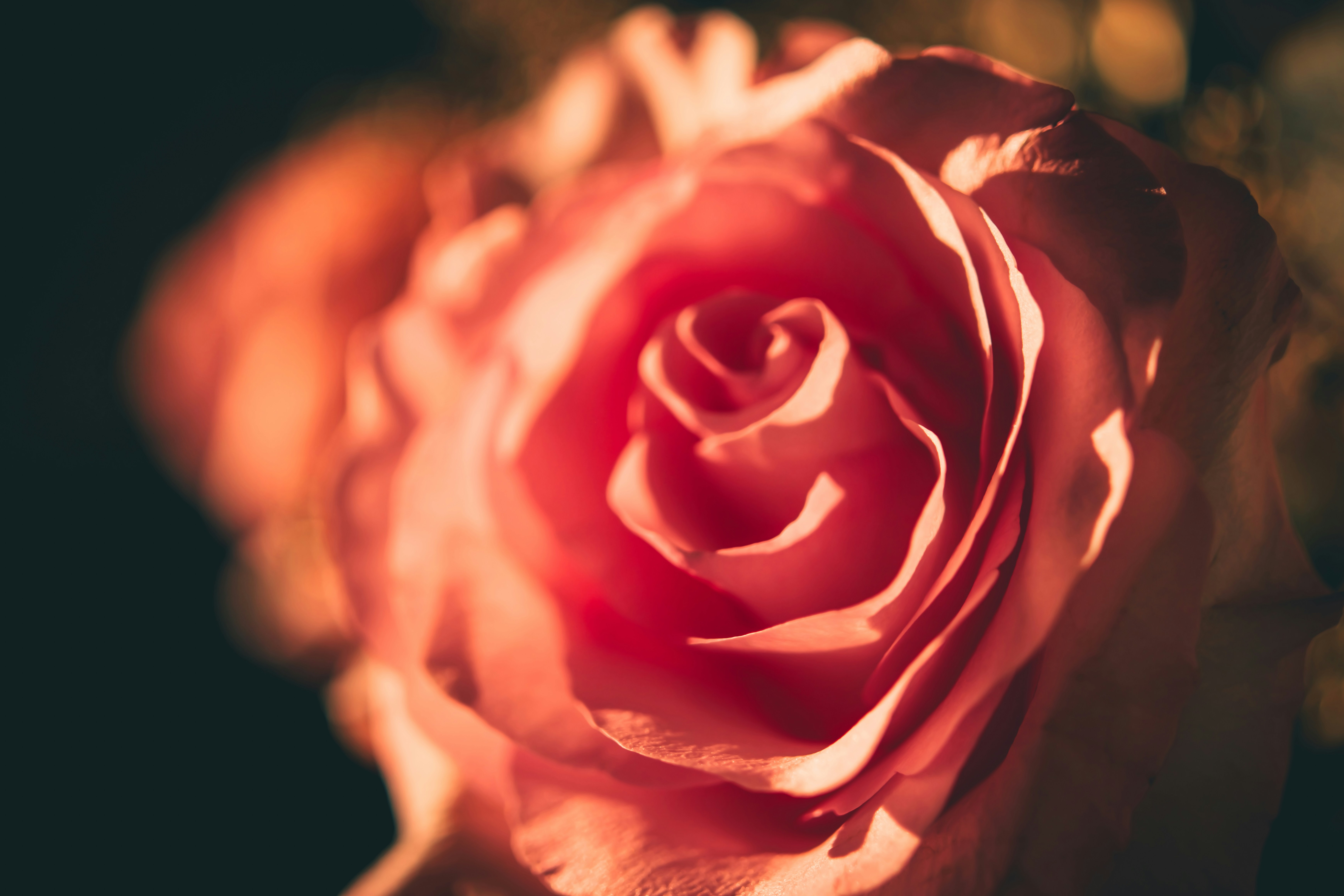 Photo by raimondklavins