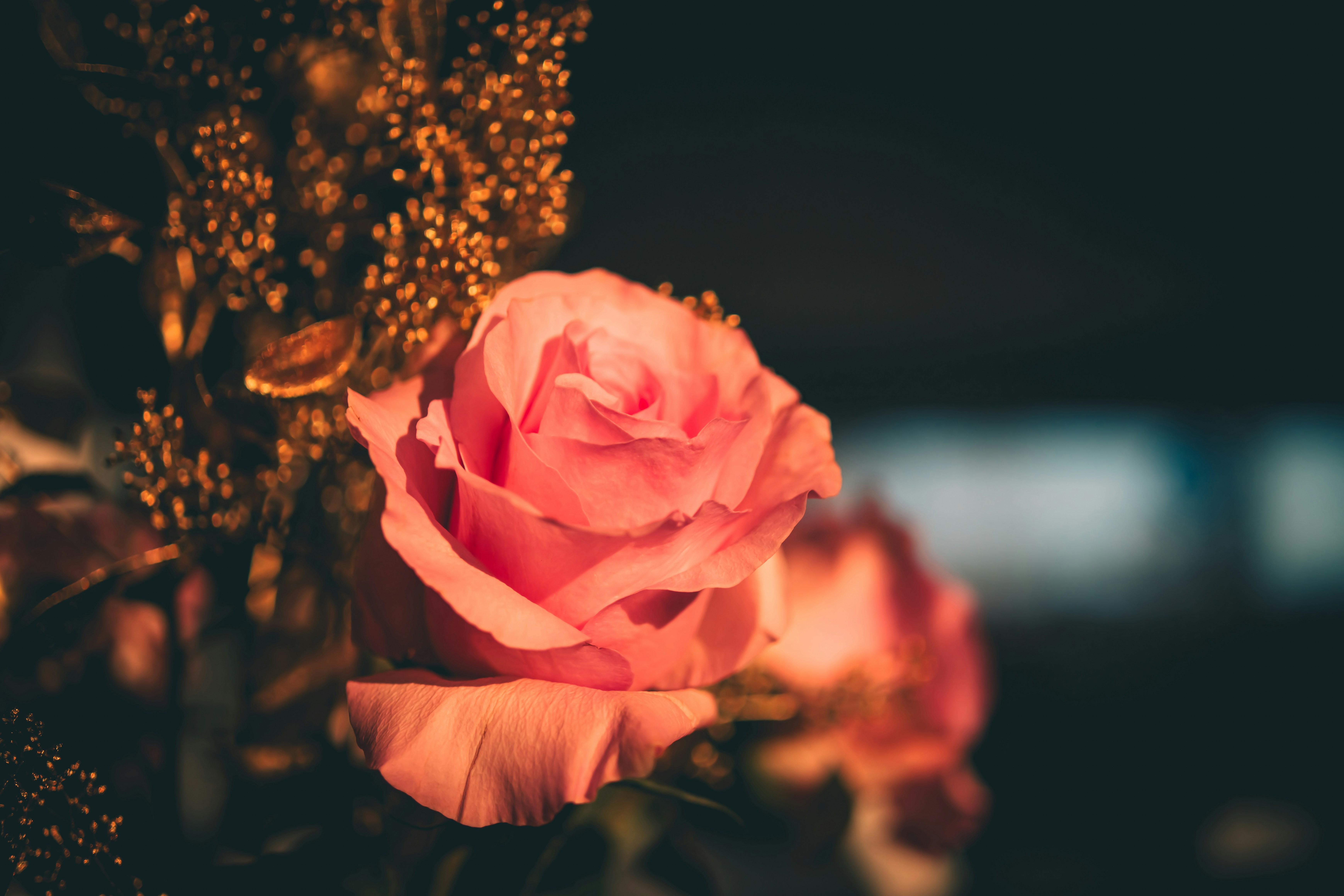 Photo by raimondklavins