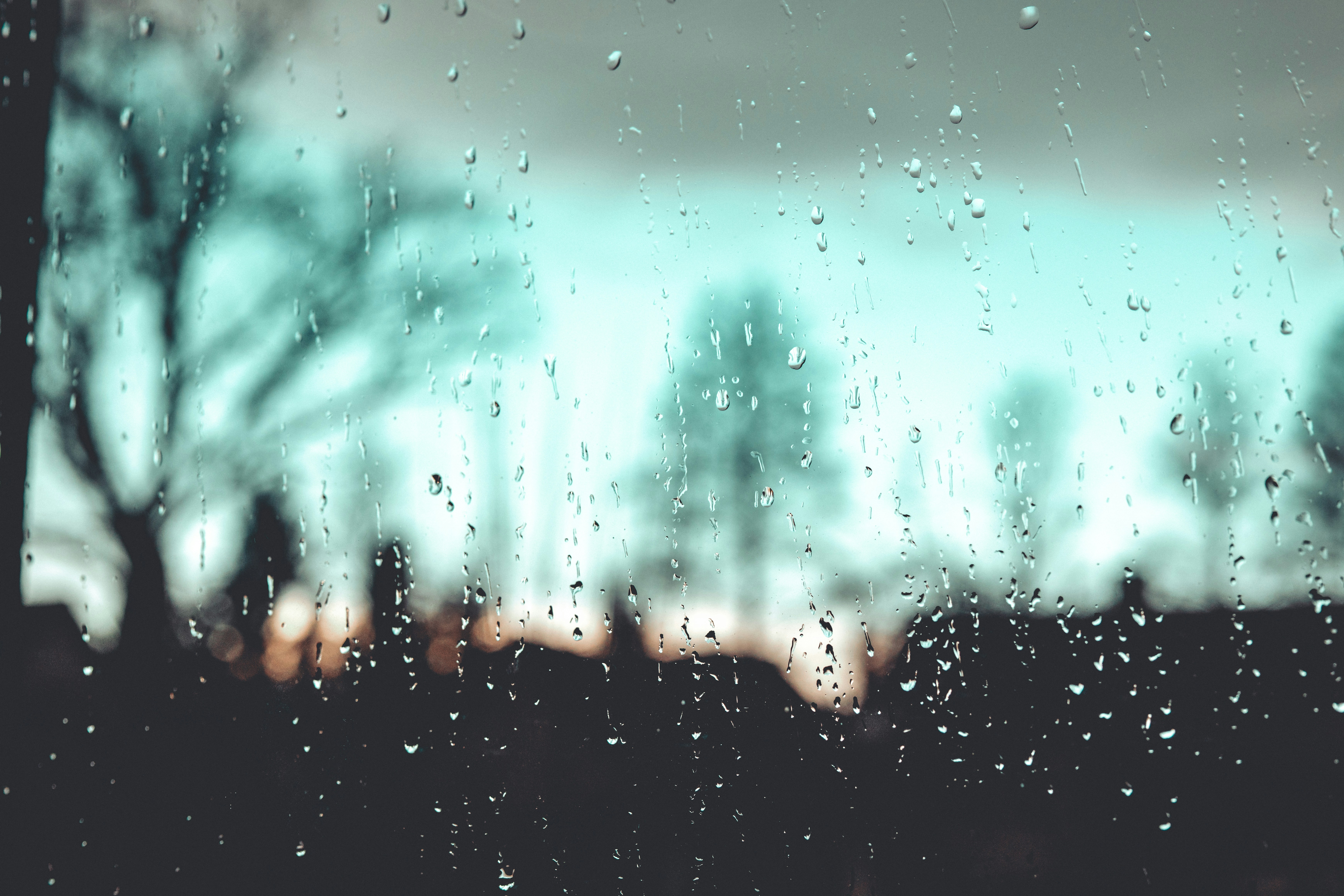 Photo by raimondklavins