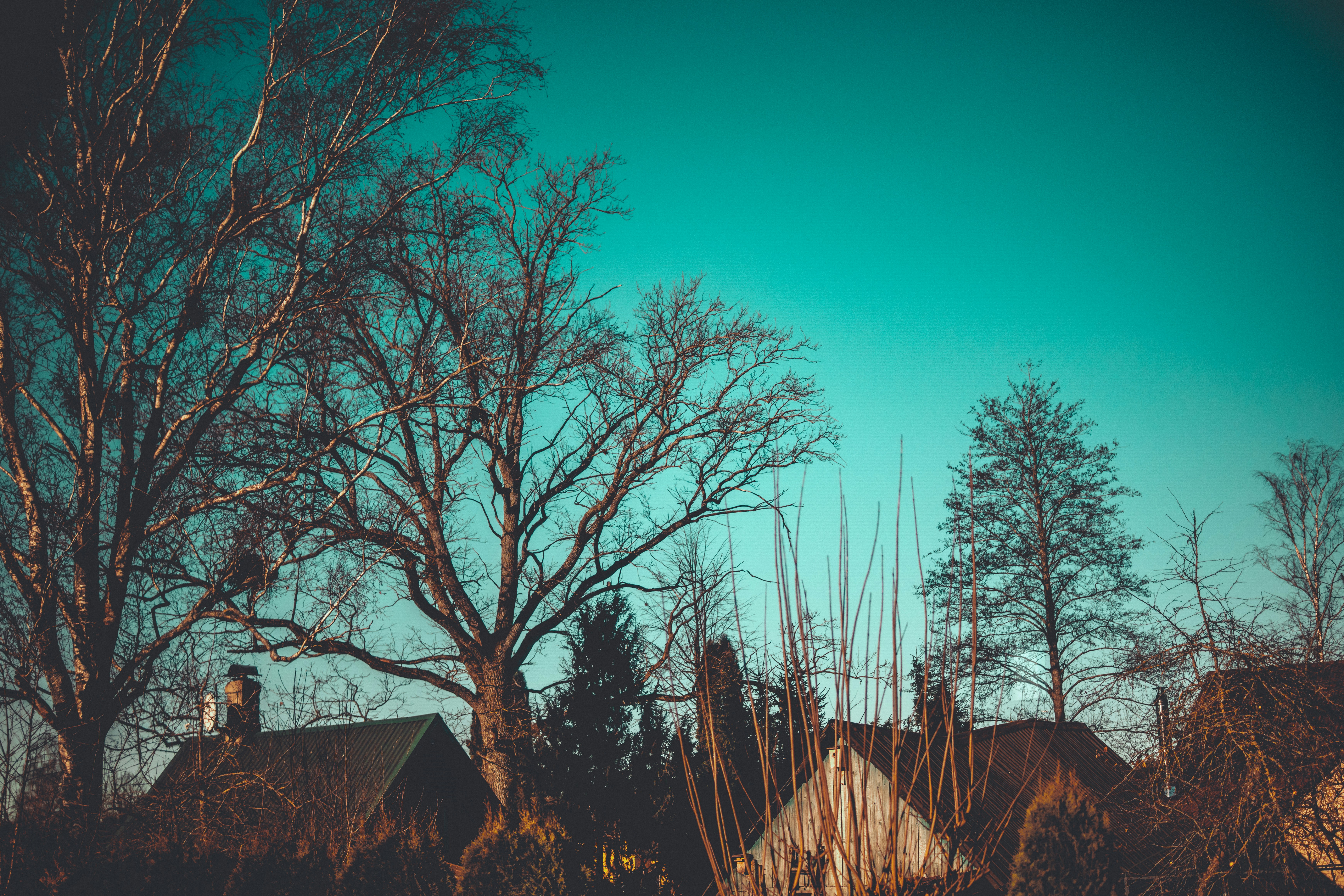 Photo by raimondklavins