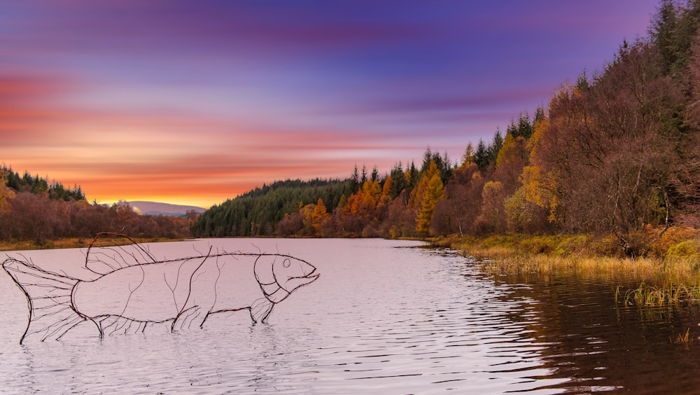 eine Zeichnung eines Fisches im Wasser