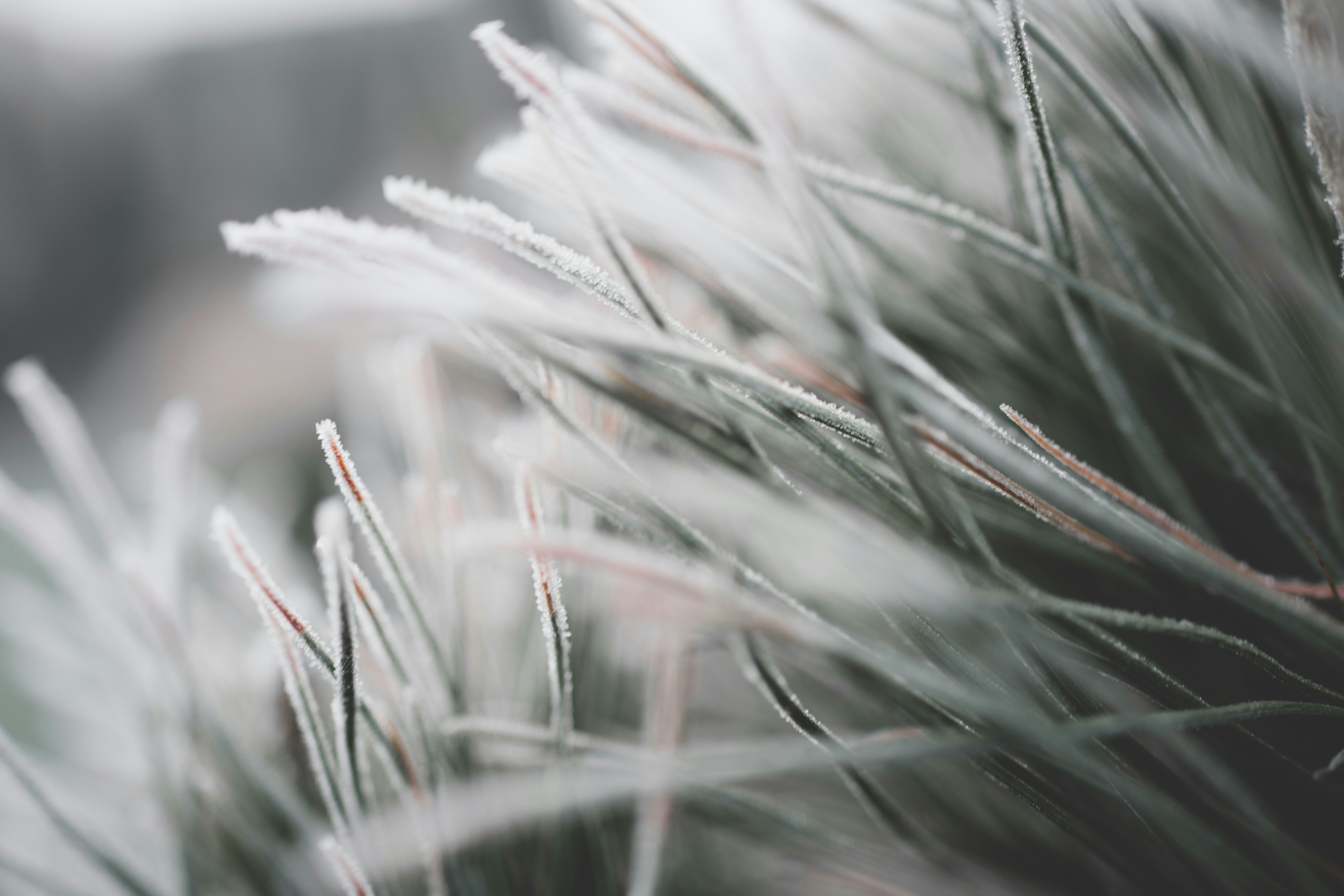 Photo by raimondklavins