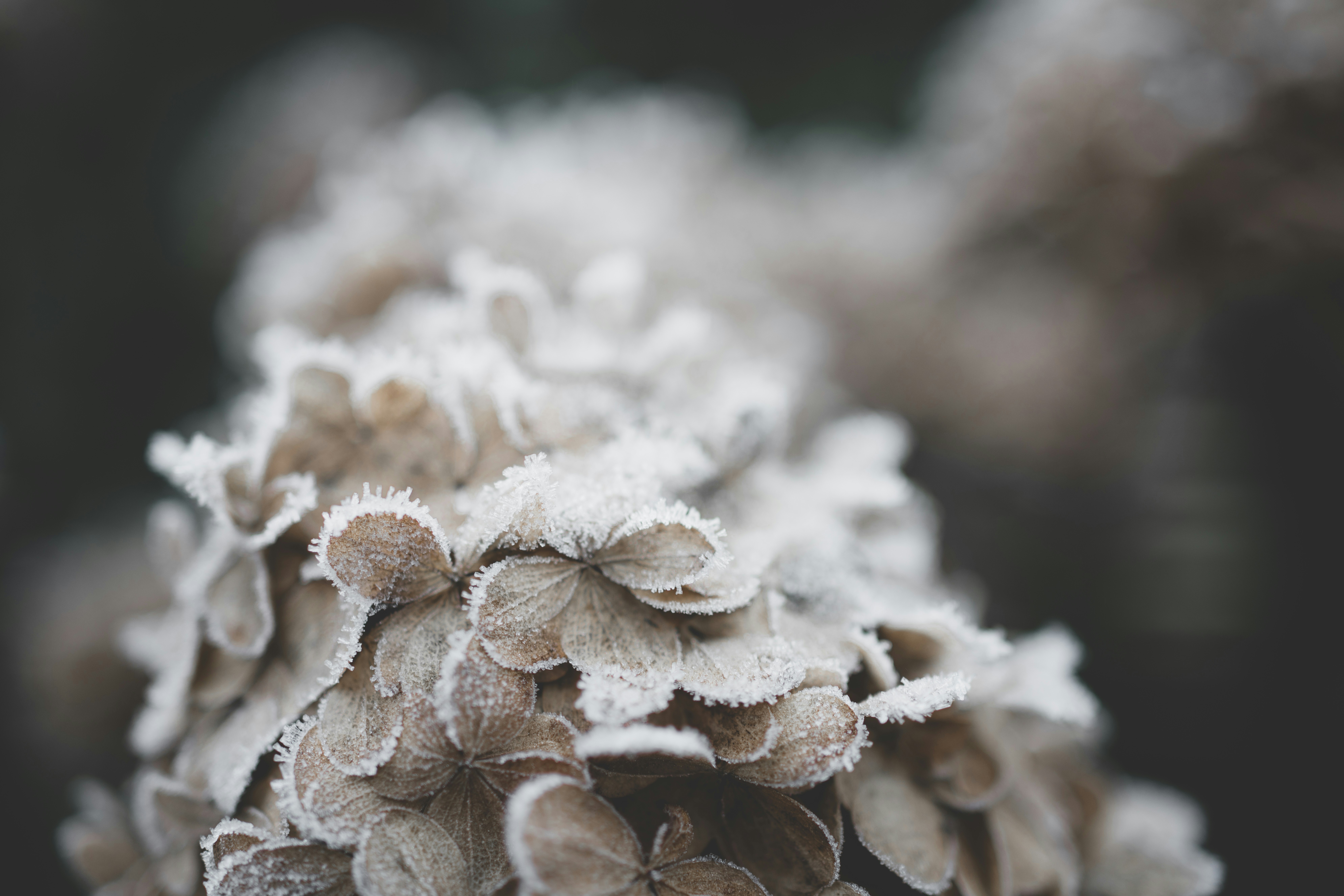 Photo by raimondklavins