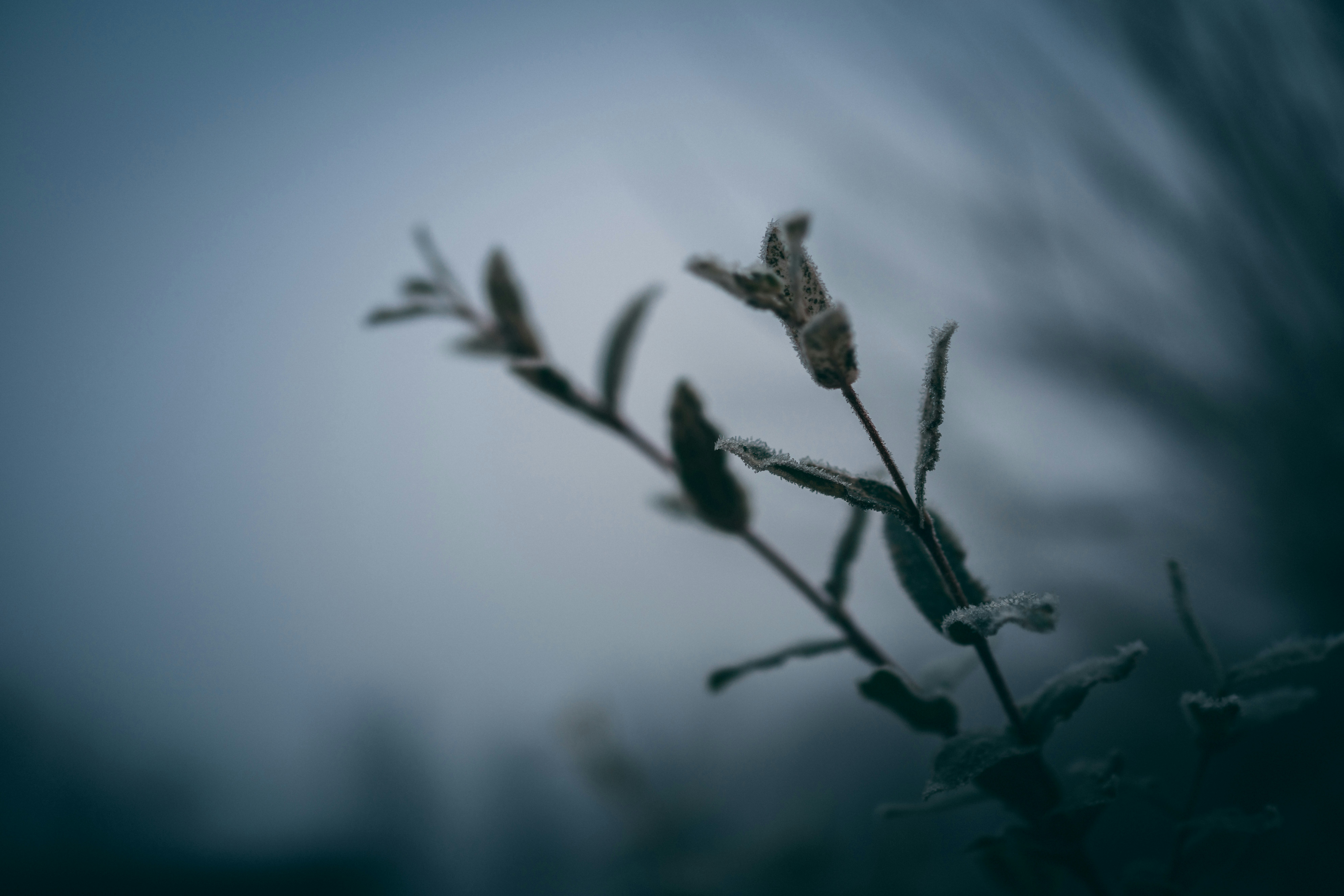 Photo by raimondklavins