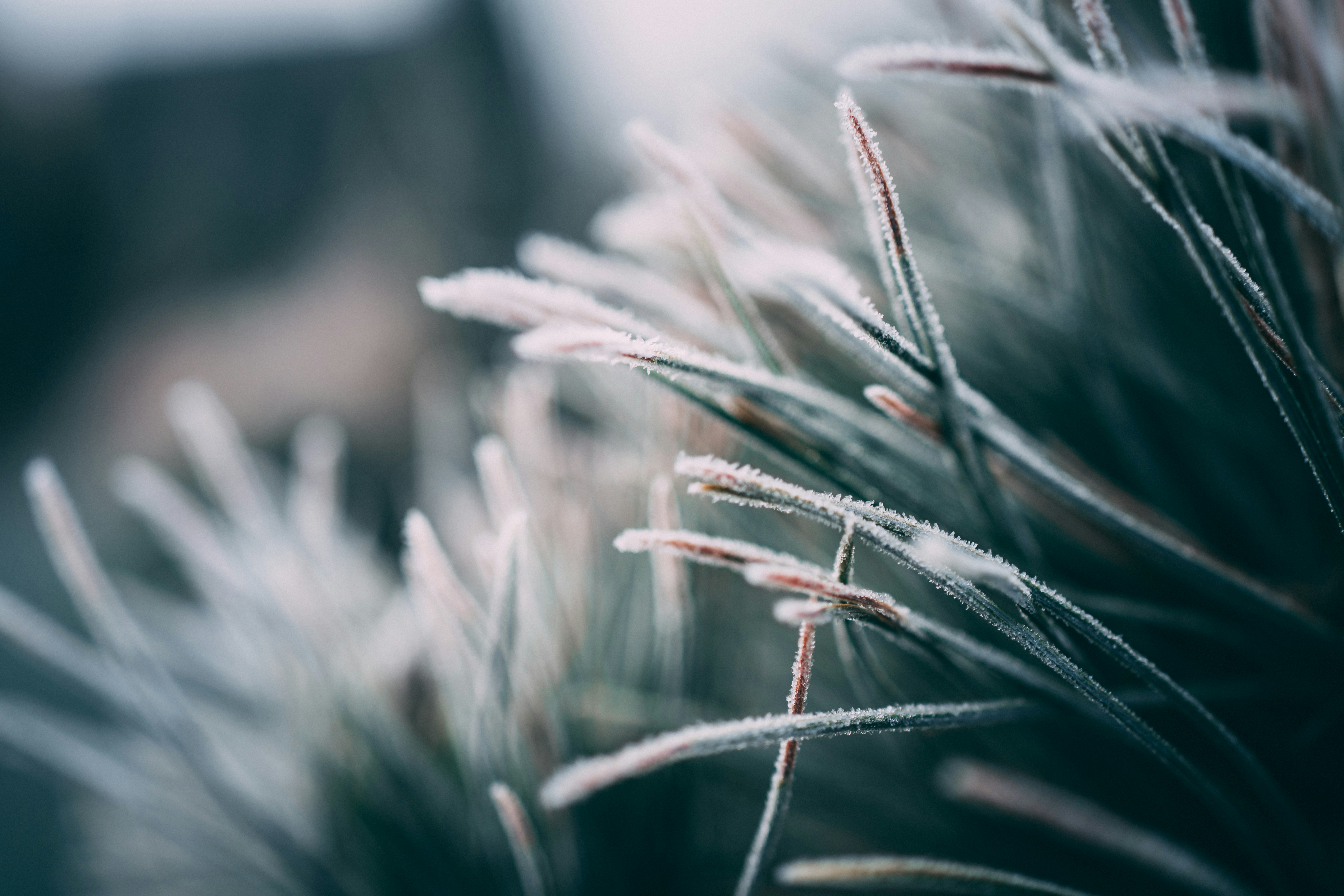 Photo by raimondklavins