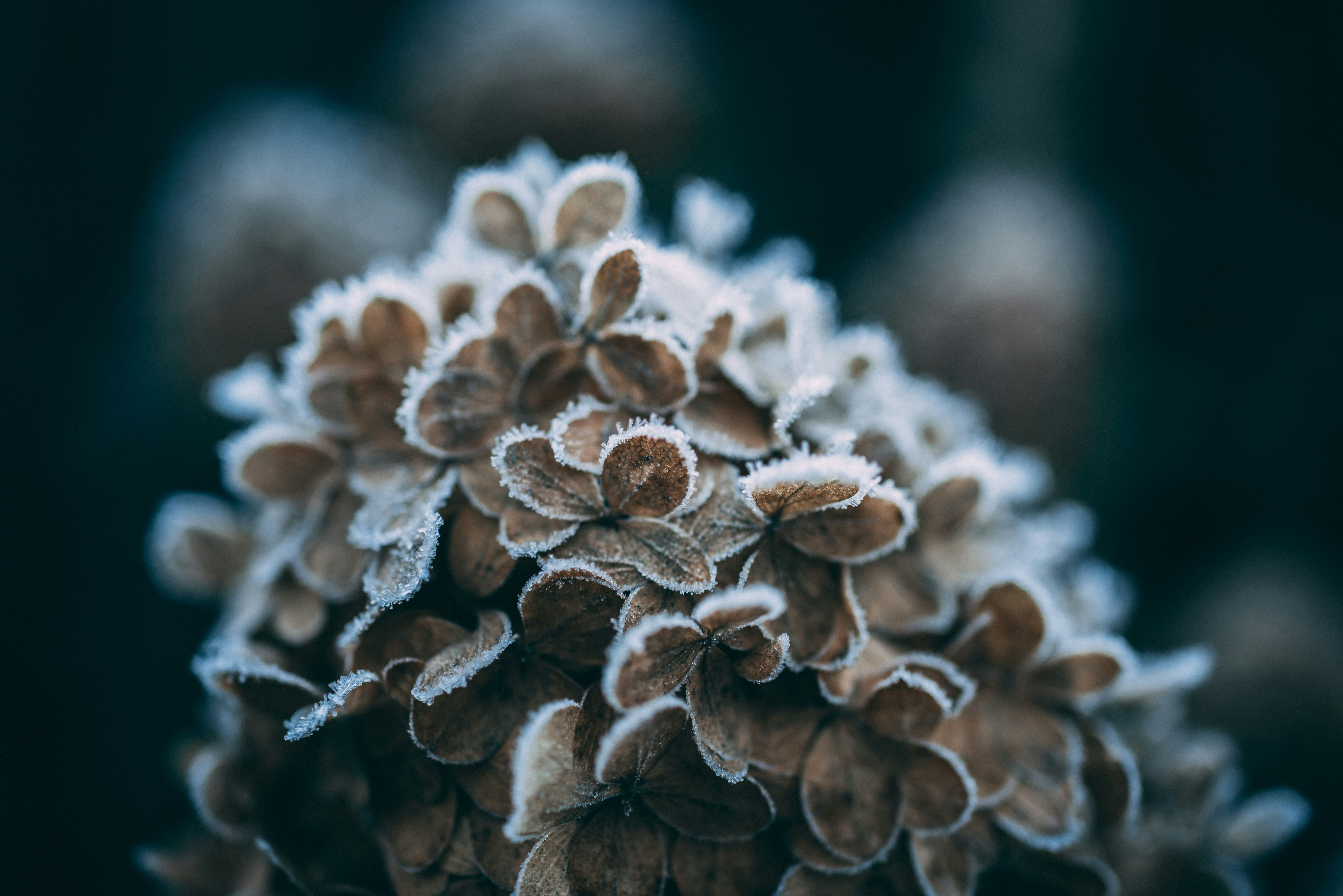 Photo by raimondklavins