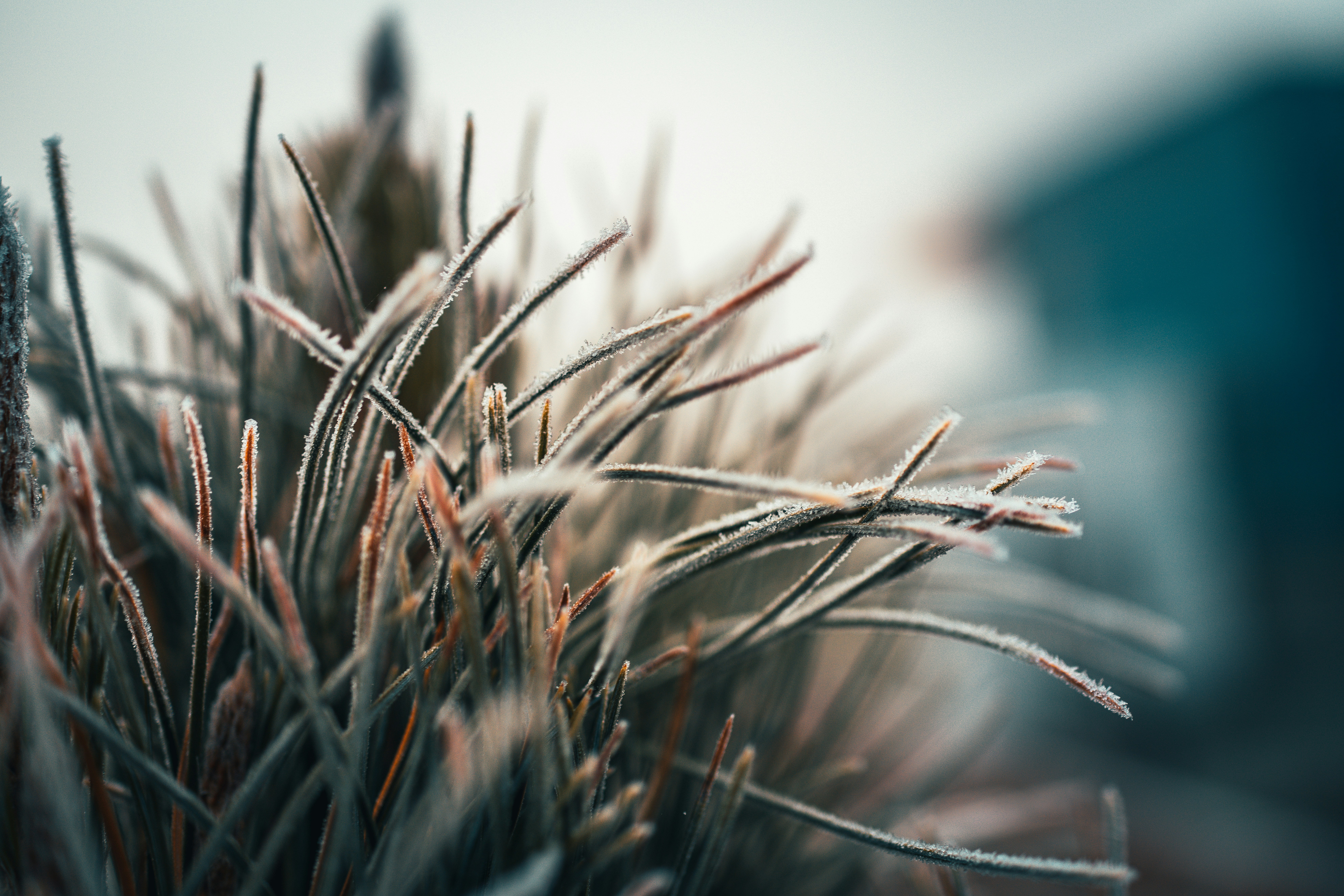 Photo by raimondklavins