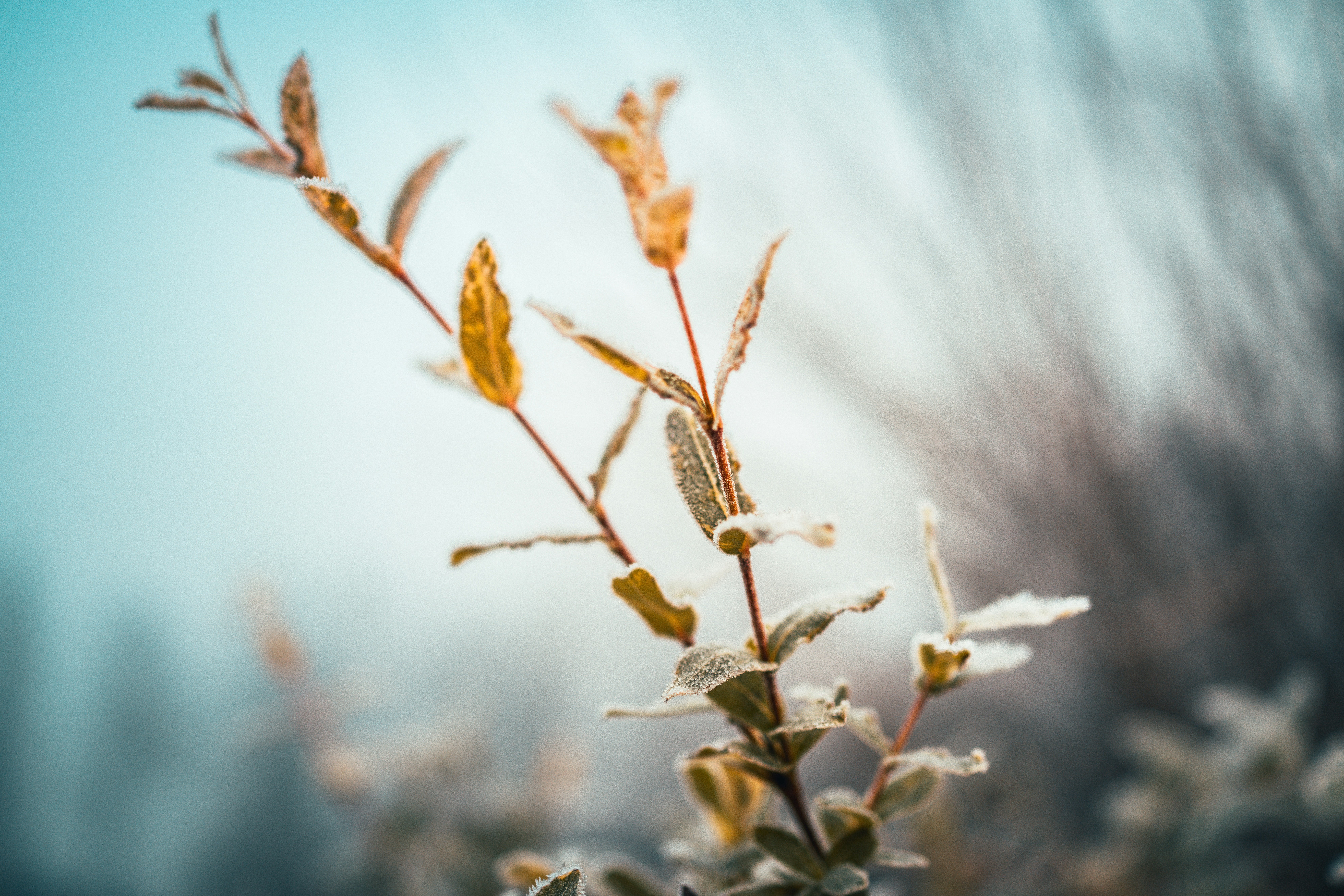 Photo by raimondklavins