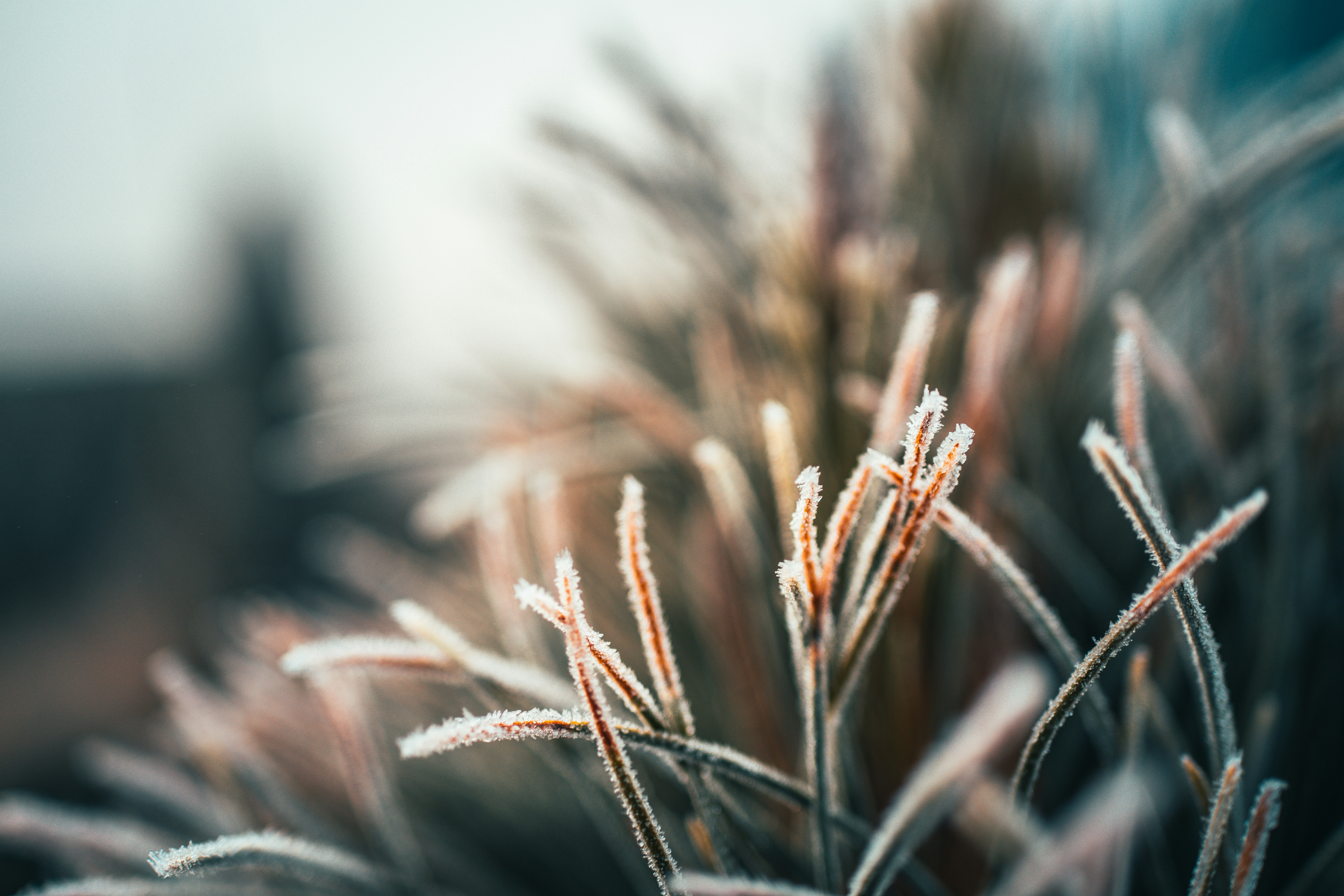 Photo by raimondklavins