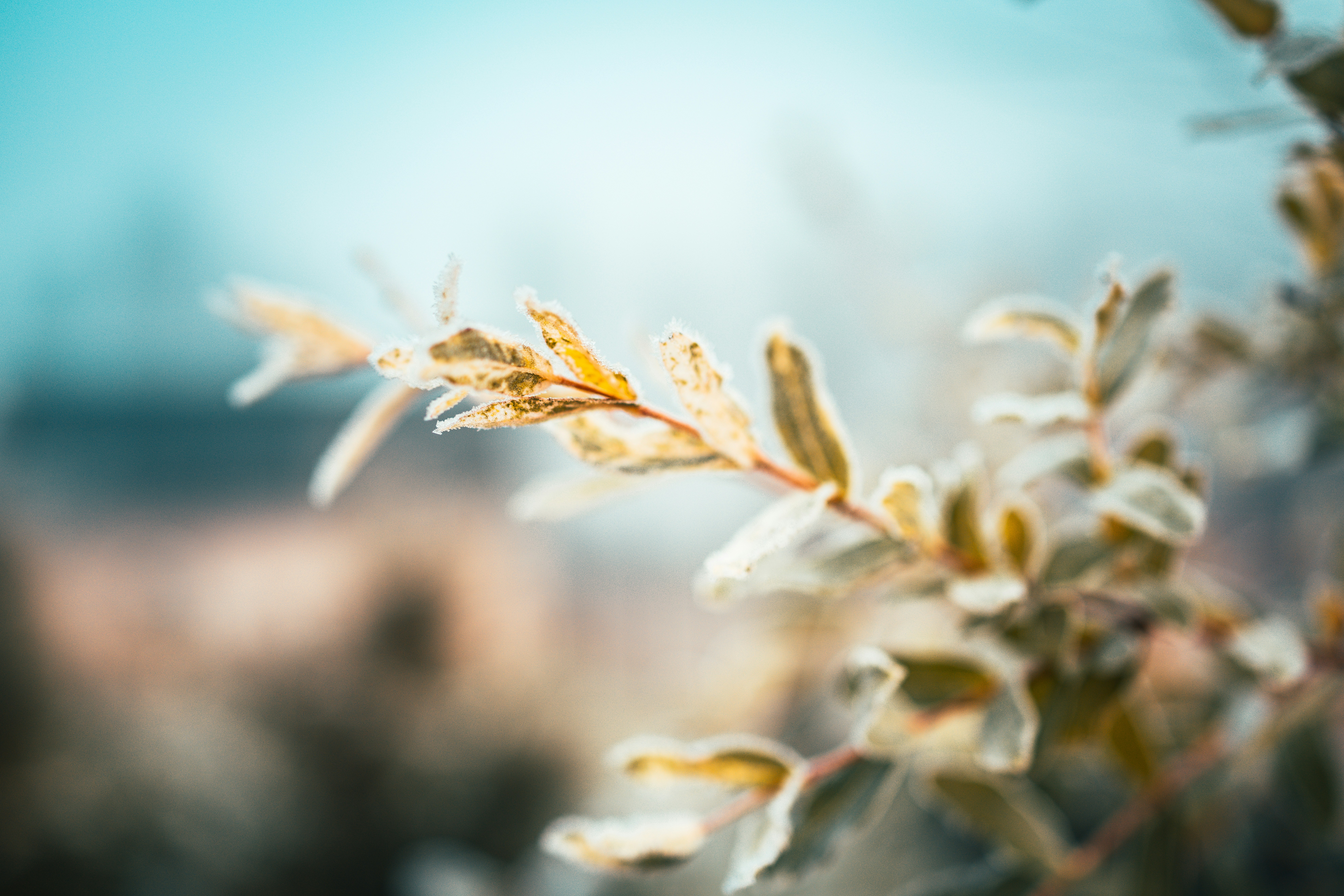 Photo by raimondklavins