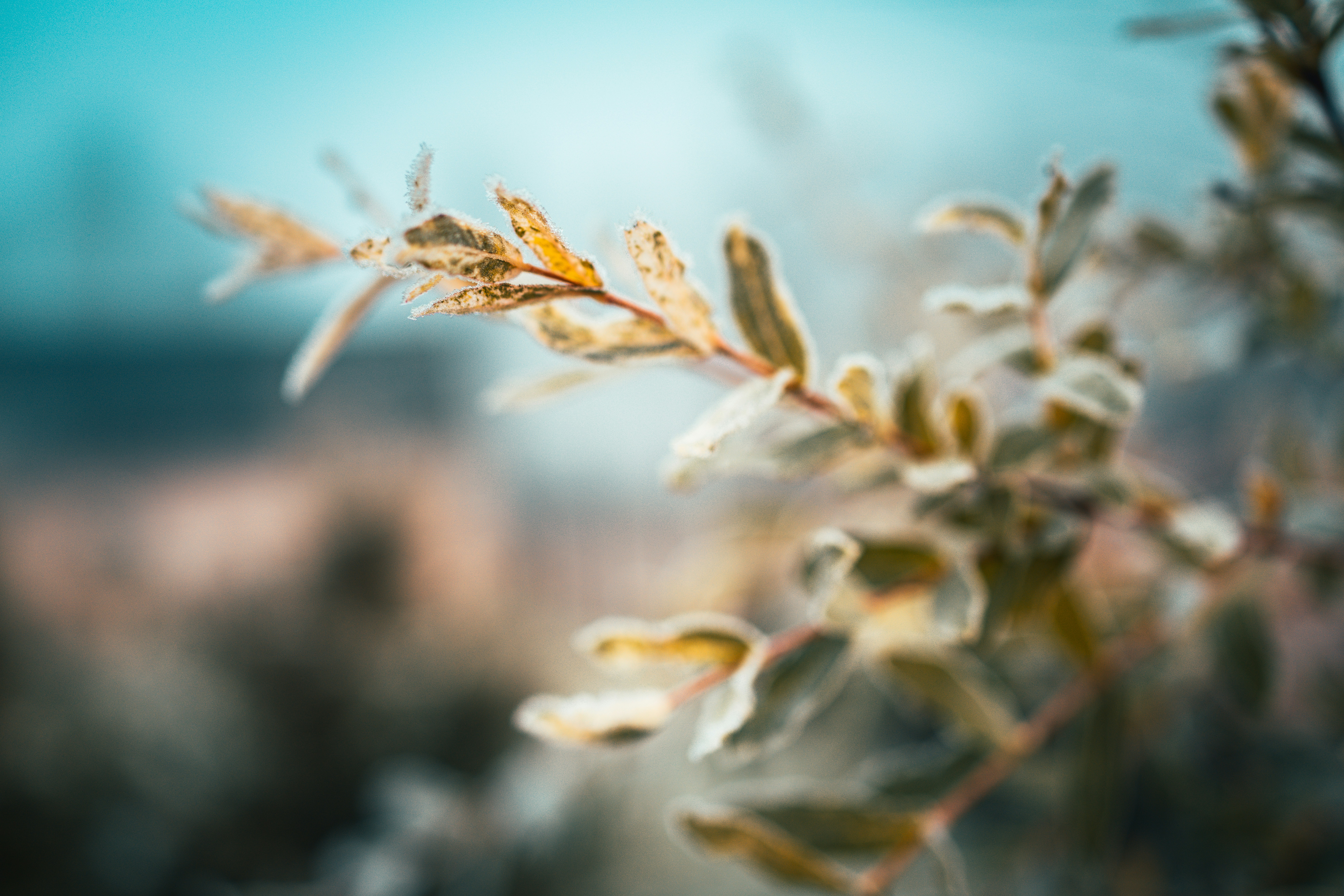 Photo by raimondklavins