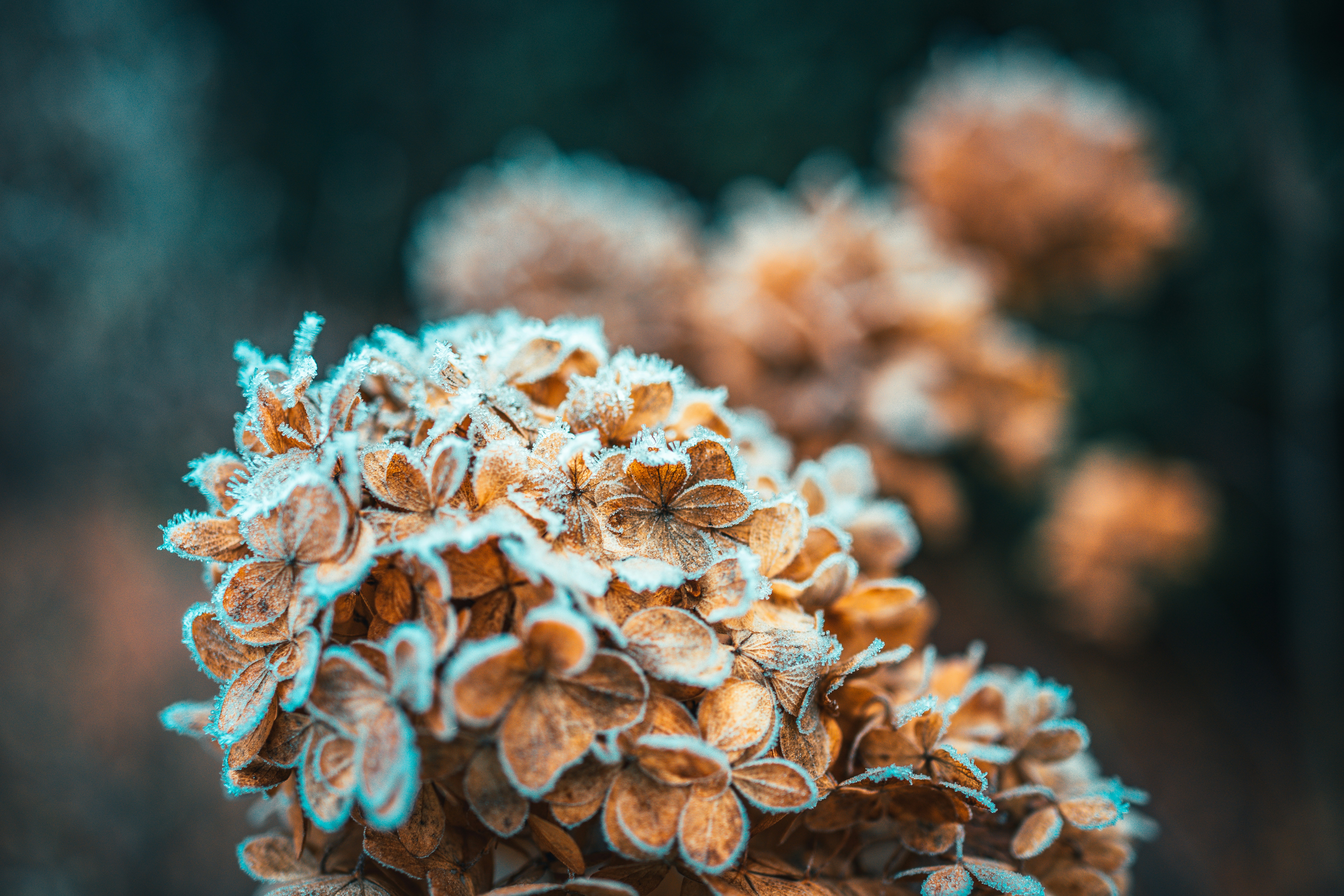 Photo by raimondklavins