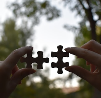 a person holding two pieces of a puzzle