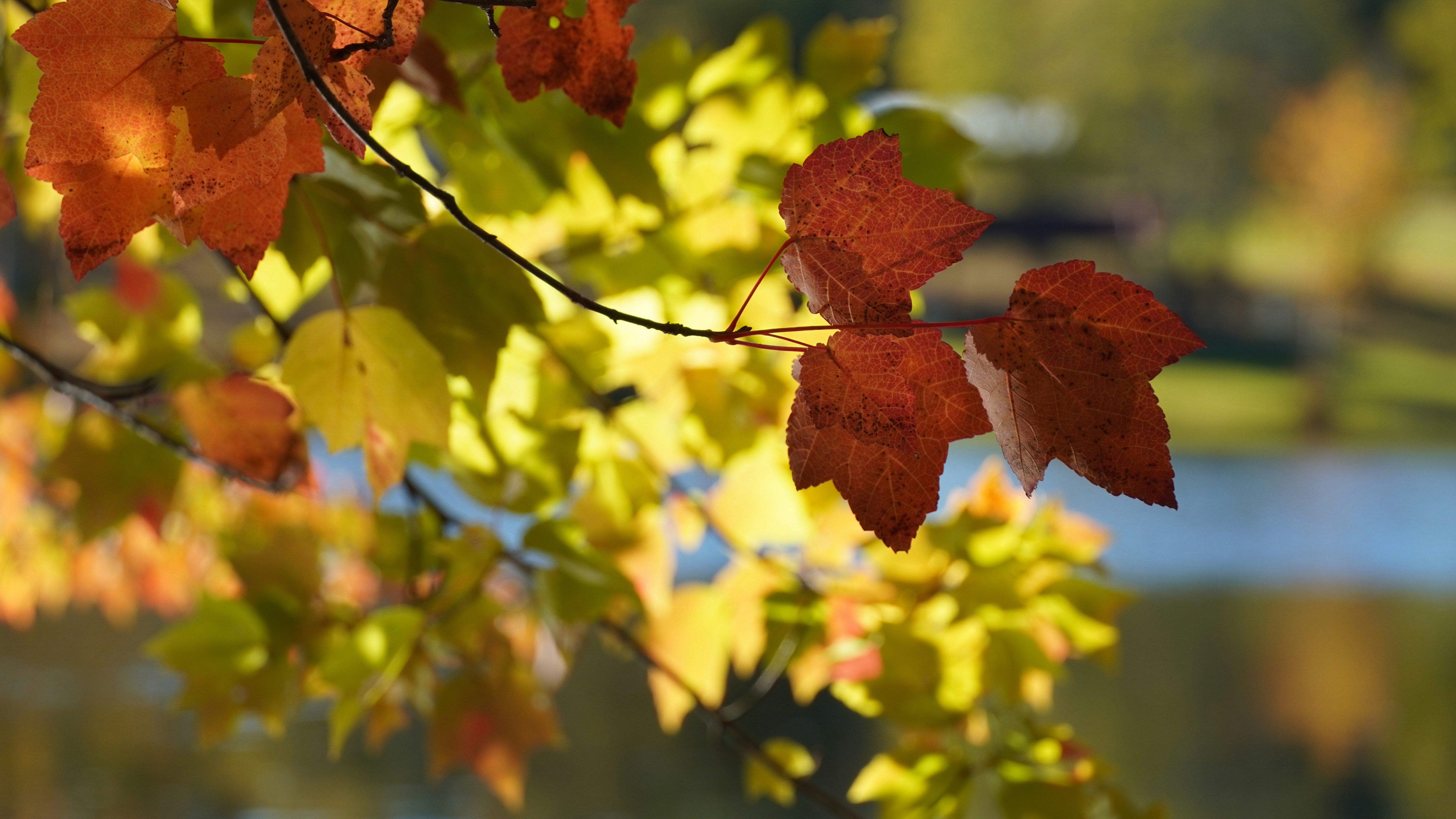 Photo by spiritbourne