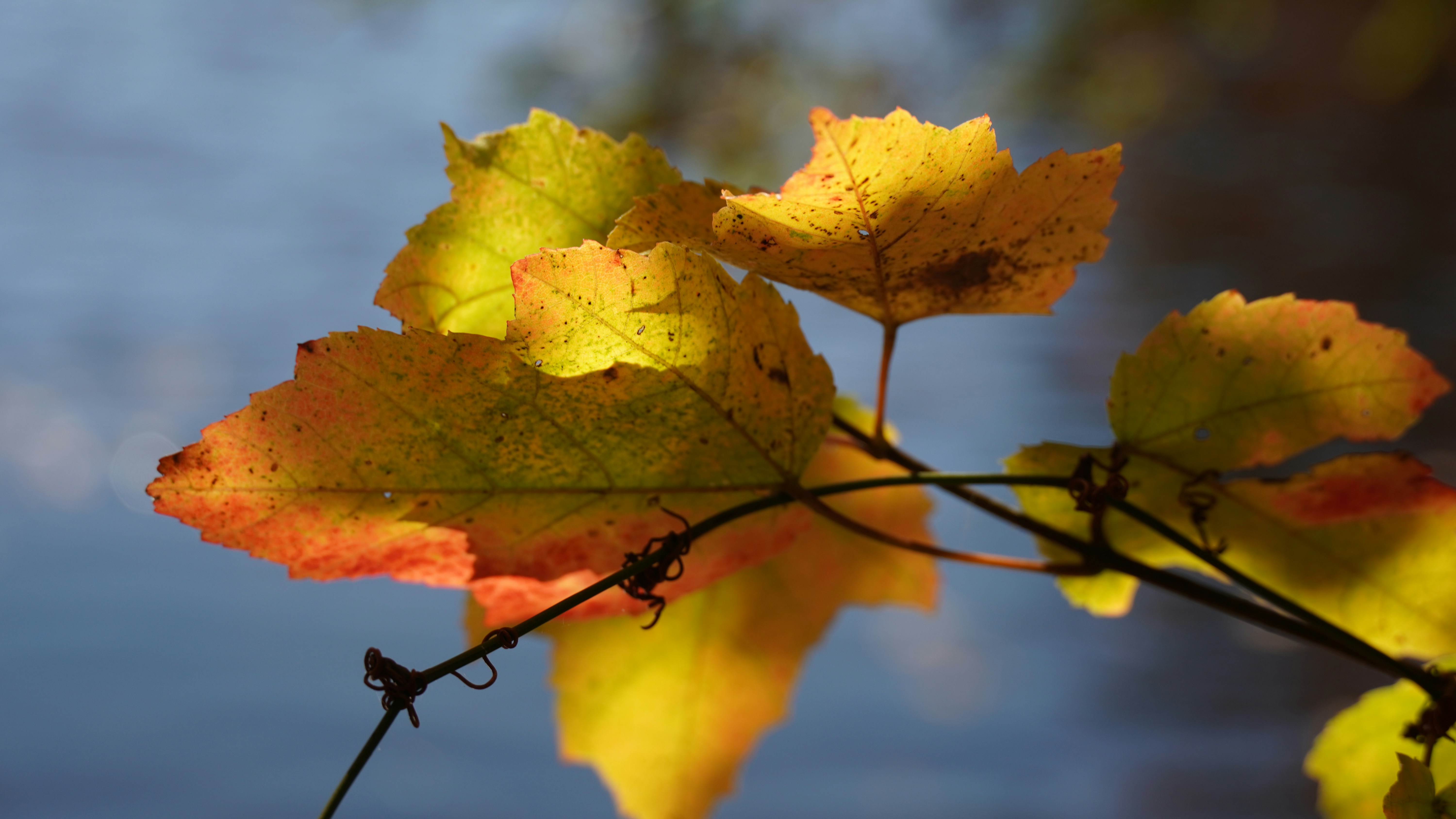 Photo by spiritbourne