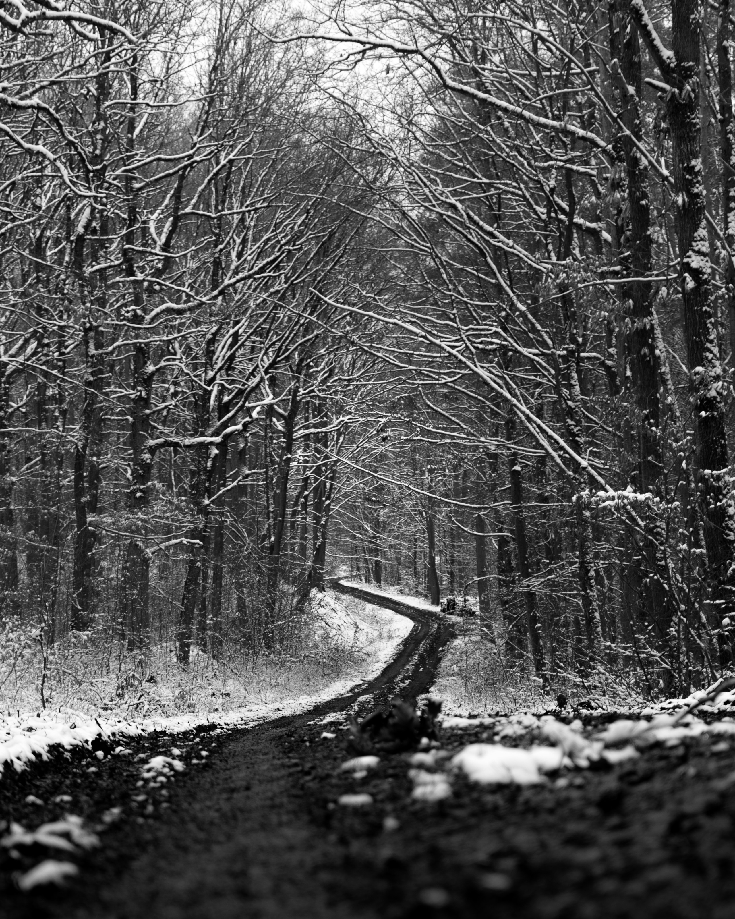 Photo by j4peg_visuals