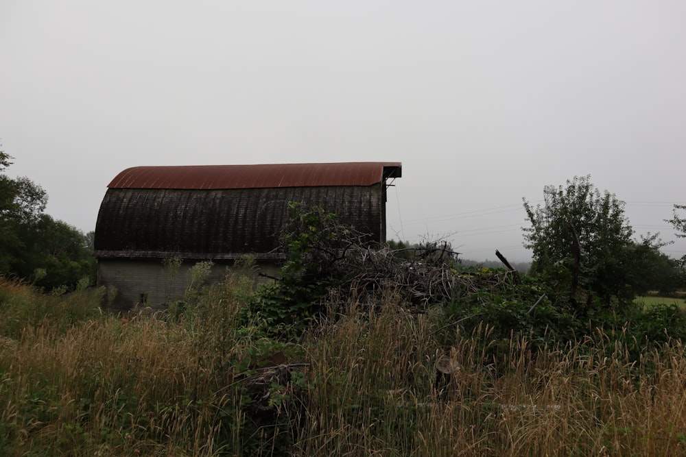 an old barn sits in a field of tall grass