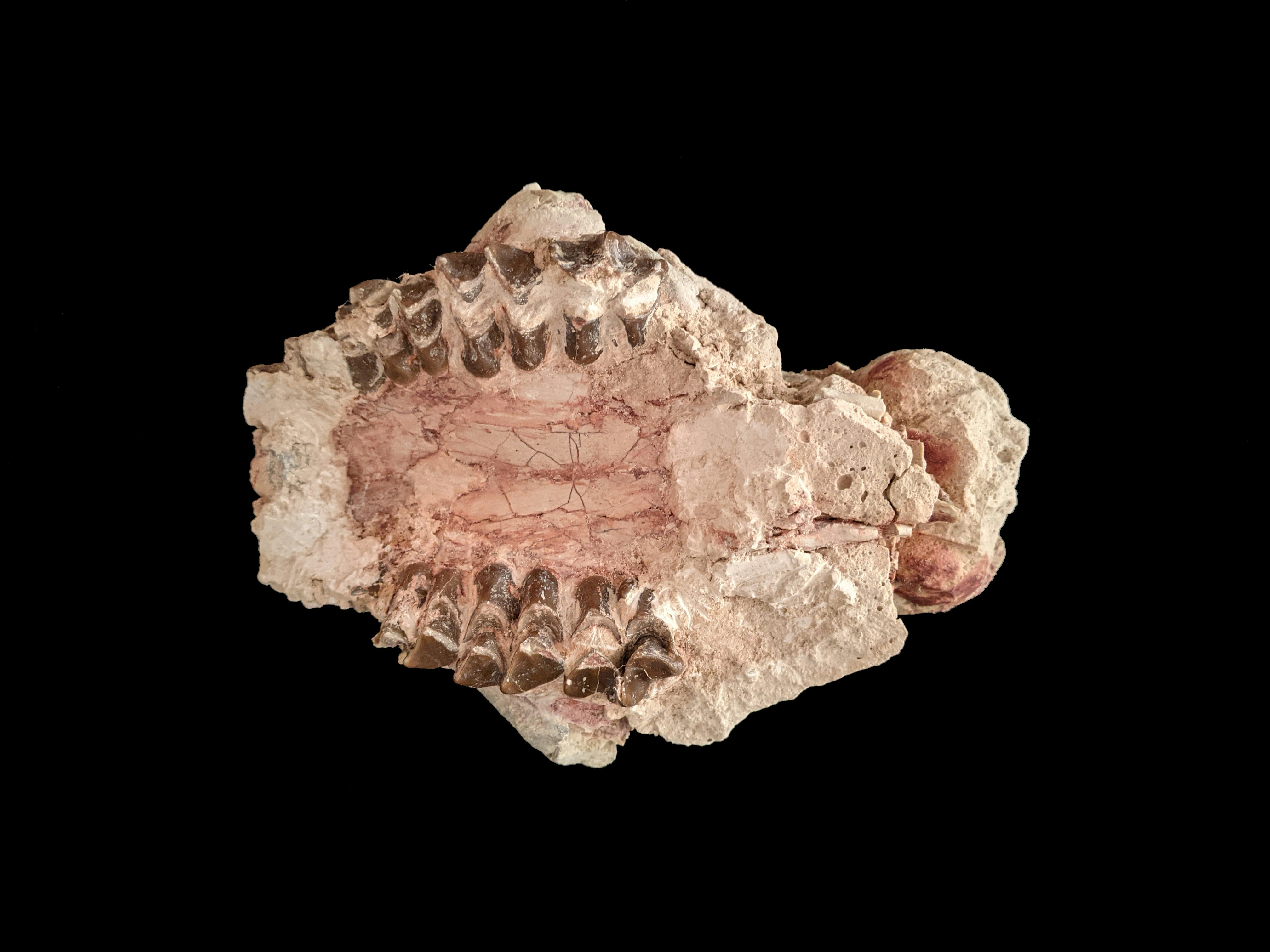 Legacy in Stone (image credits: unsplash)