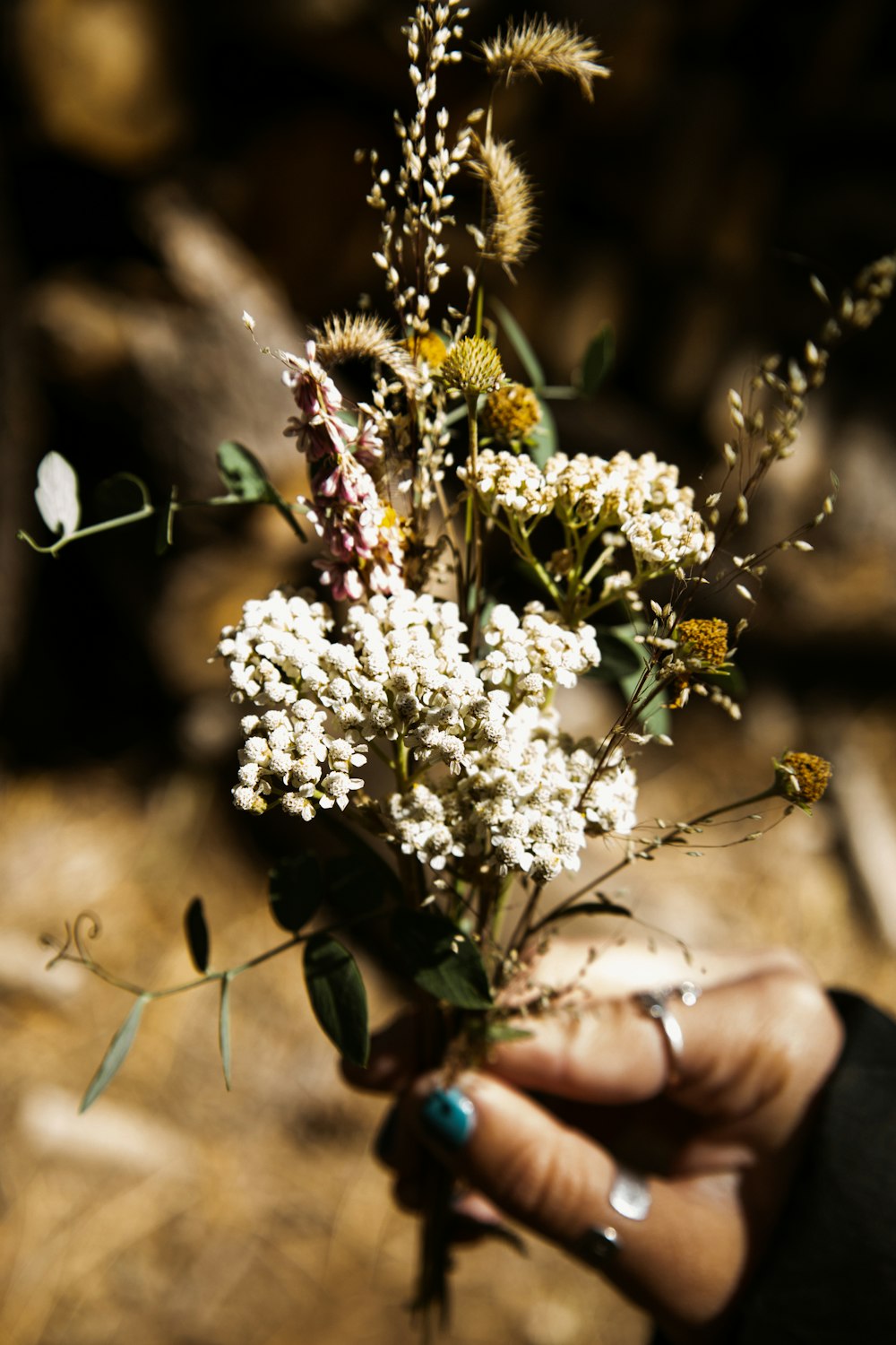 a person holding a bunch of flowers in their hand