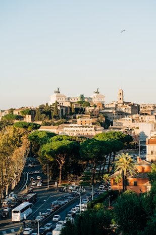 An urban landscape with historic architecture, including a large white monument with statues on top, surrounded by a mix of old and modern buildings. The foreground features a busy street with cars and buses, lined by tall green trees. The scene is set under a clear sky with a lone bird flying above.