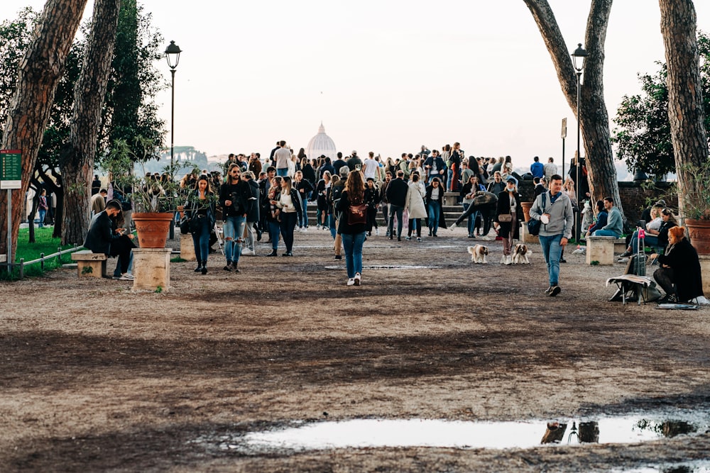 a crowd of people walking around a park